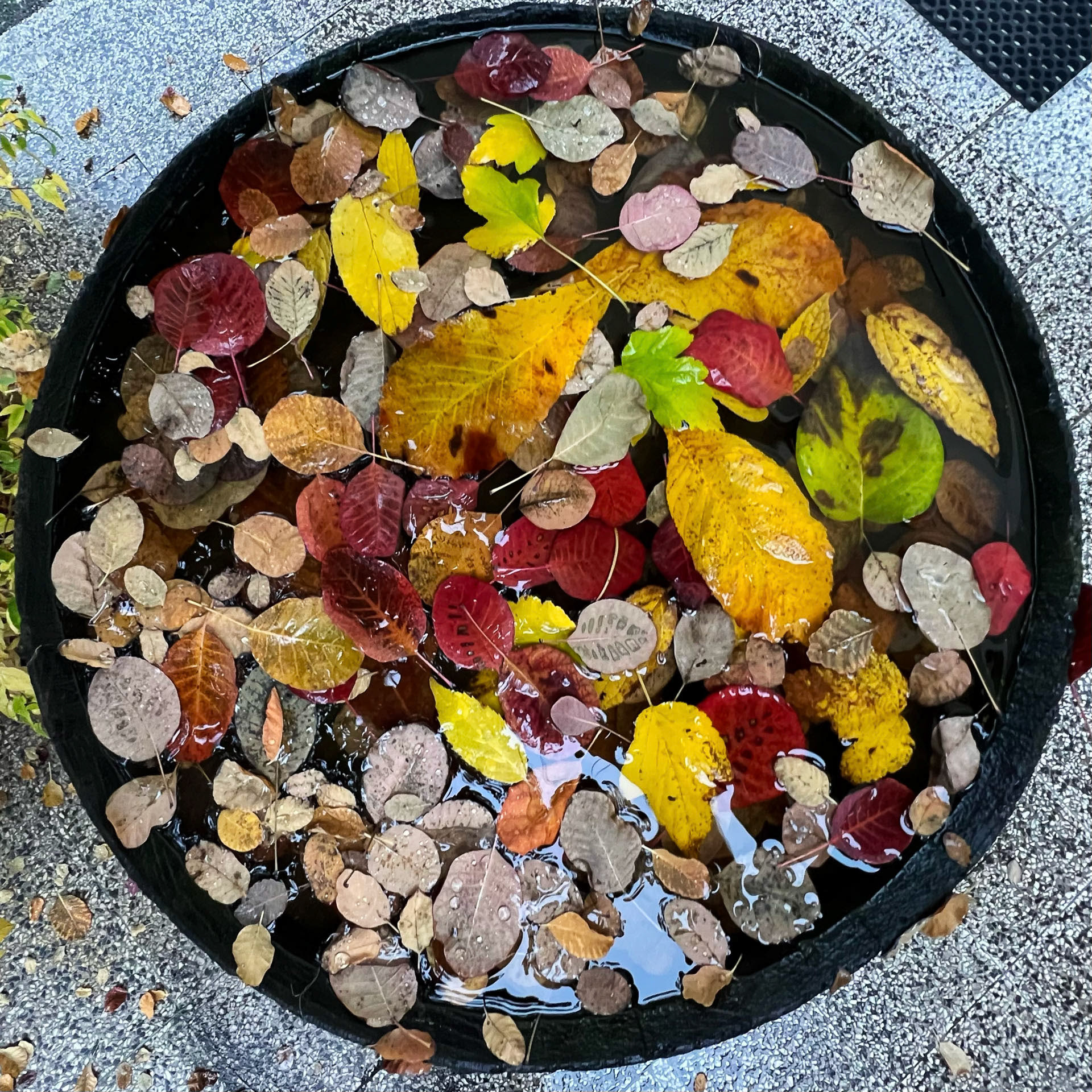 Hans Jürgen  Watzinger " Fassdeckel"