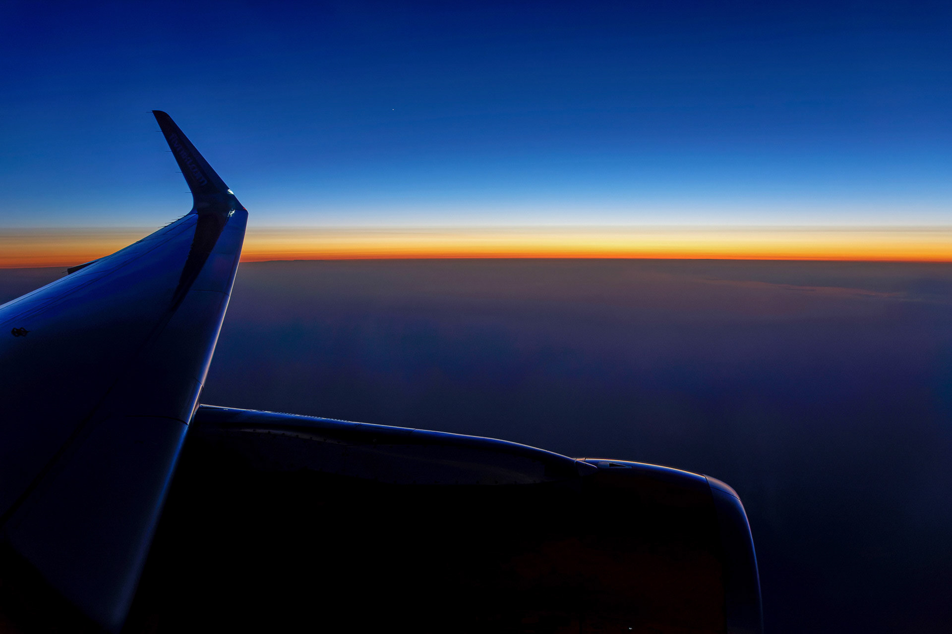 Walter  Trausinger "Heimflug"