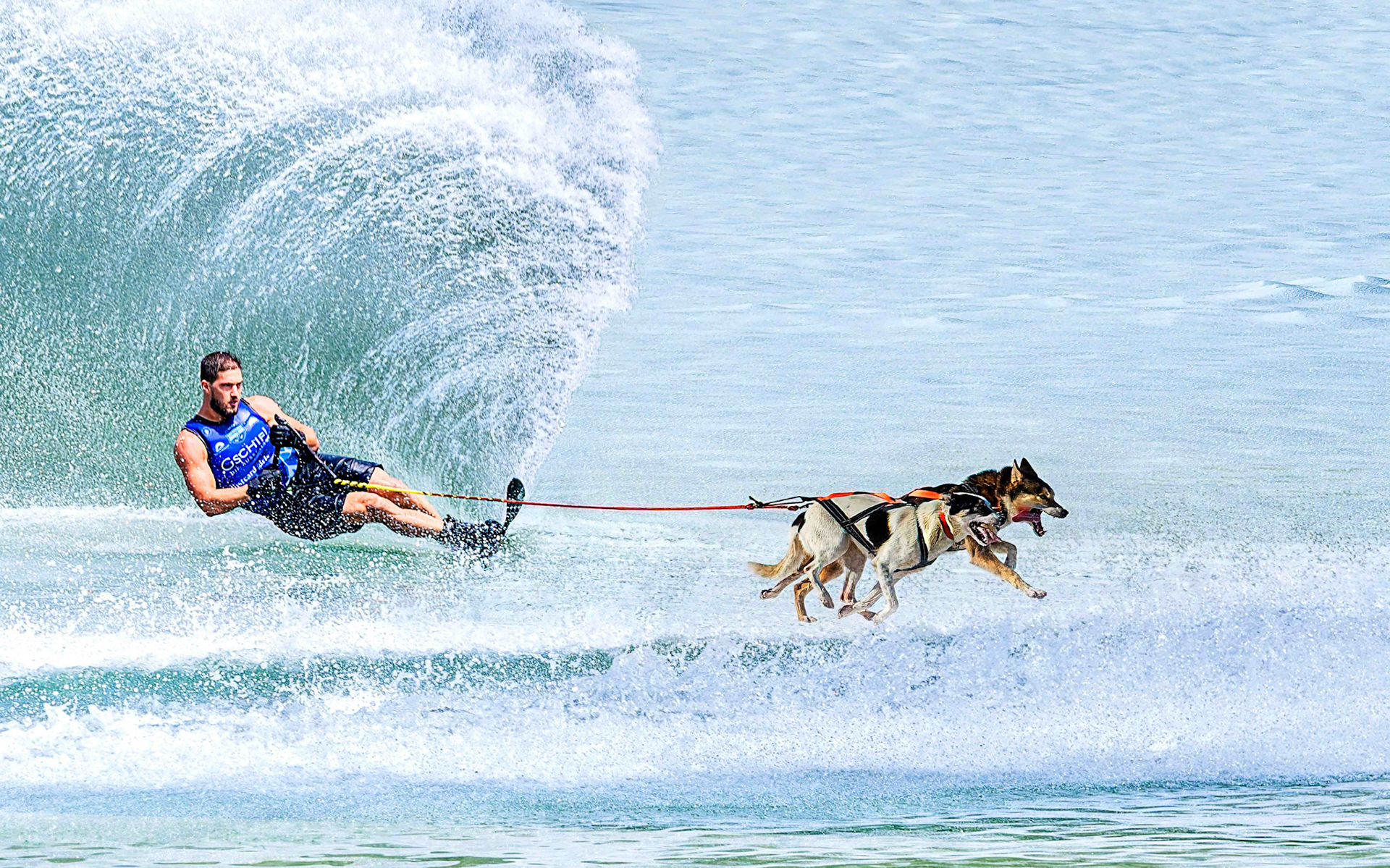 Gerhard Schneglberger "Snowski"