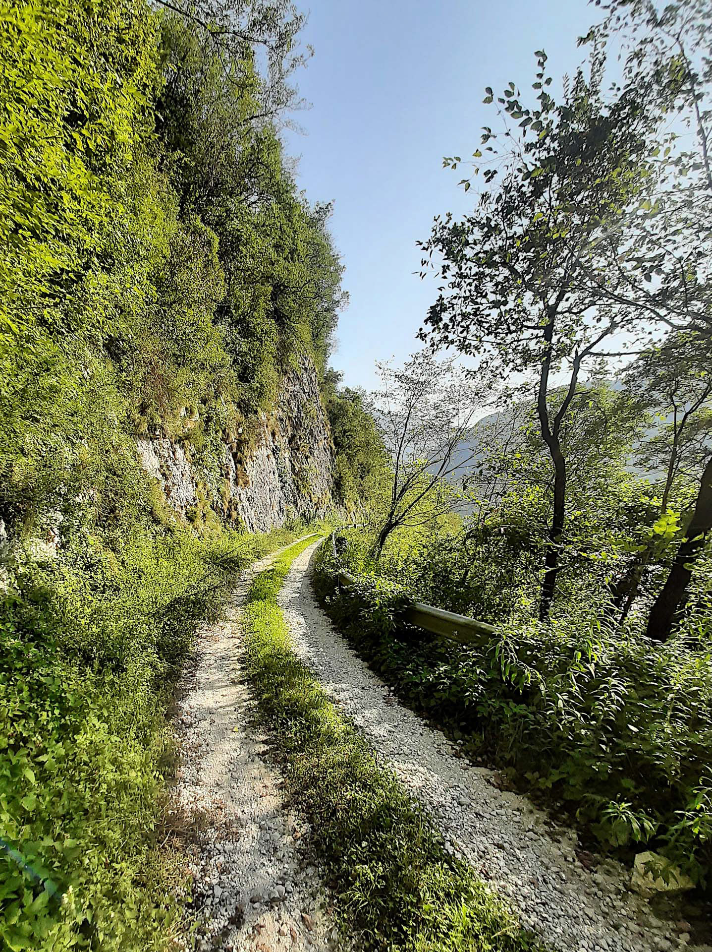 Johann  Zavatzki "Weg ins Nichts"
