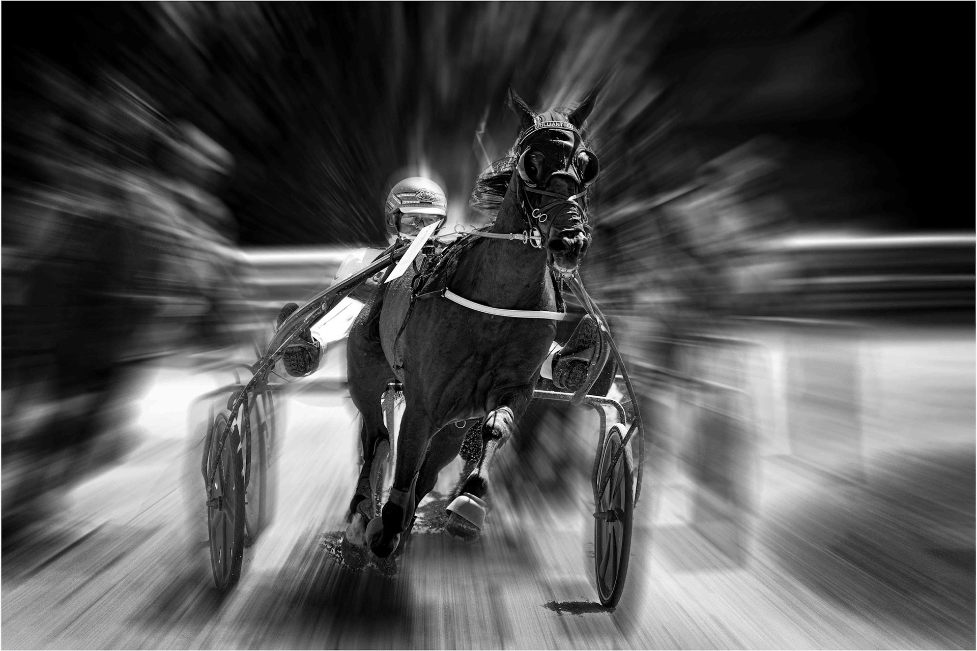 Walter  Trausinger "Zielsprint"