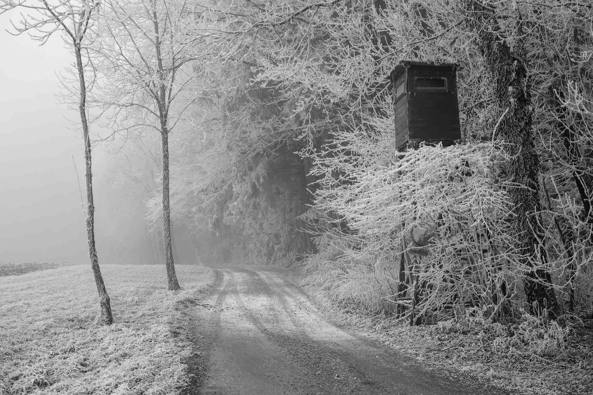 Markus  Trausinger "koit is"