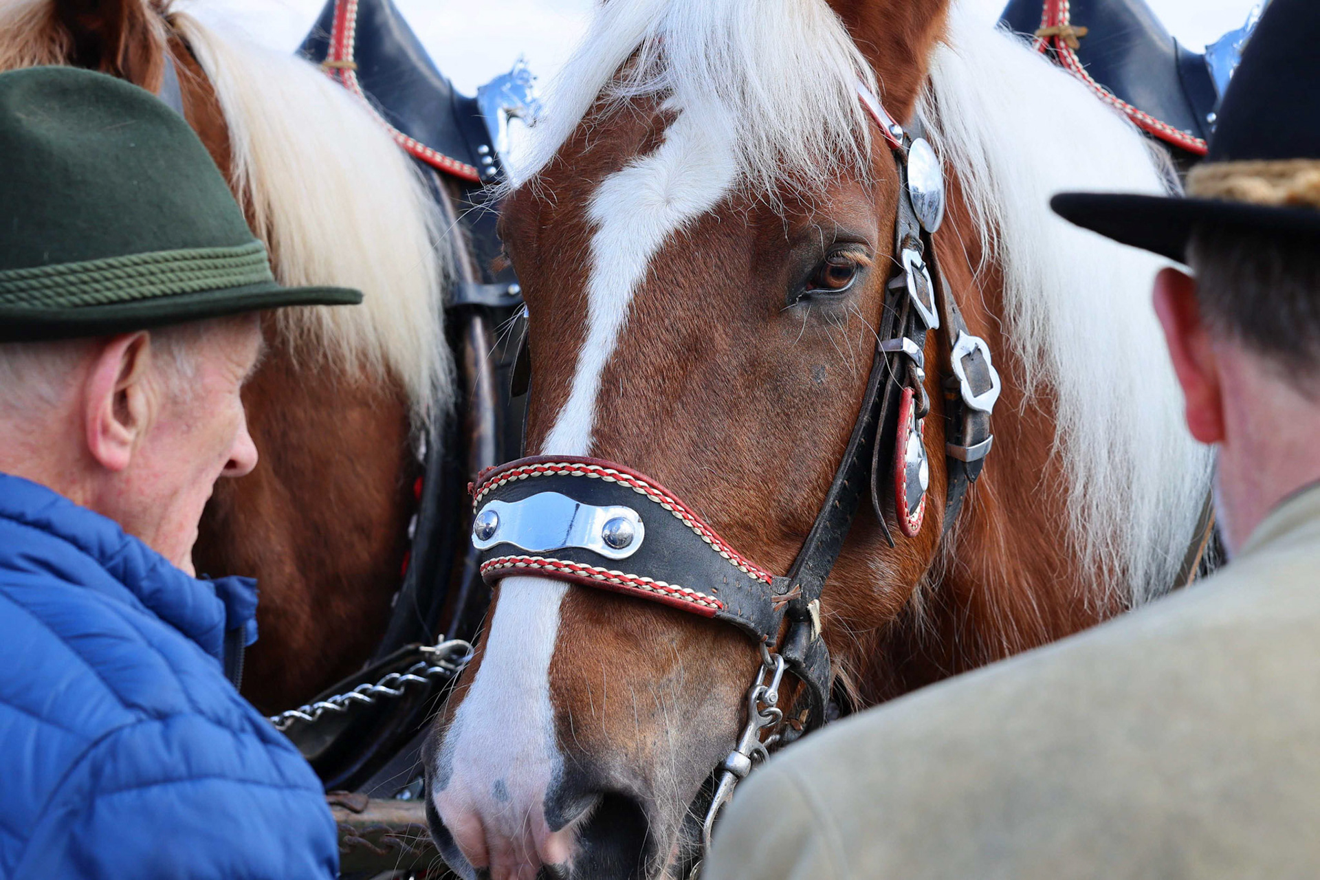 Franz Haunschmied "Pferdemarkt"