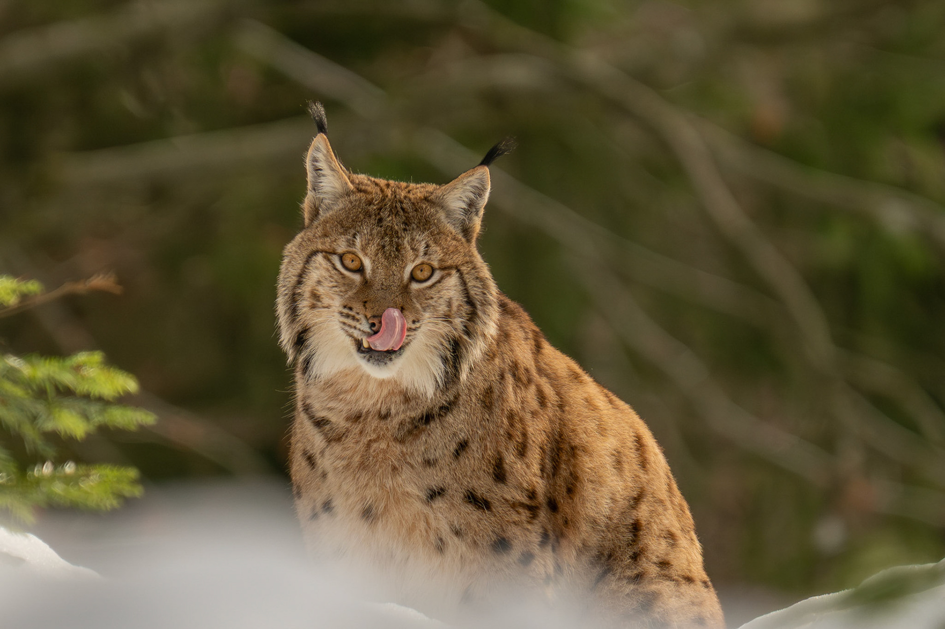 Franz Stiglbauer "lecker"