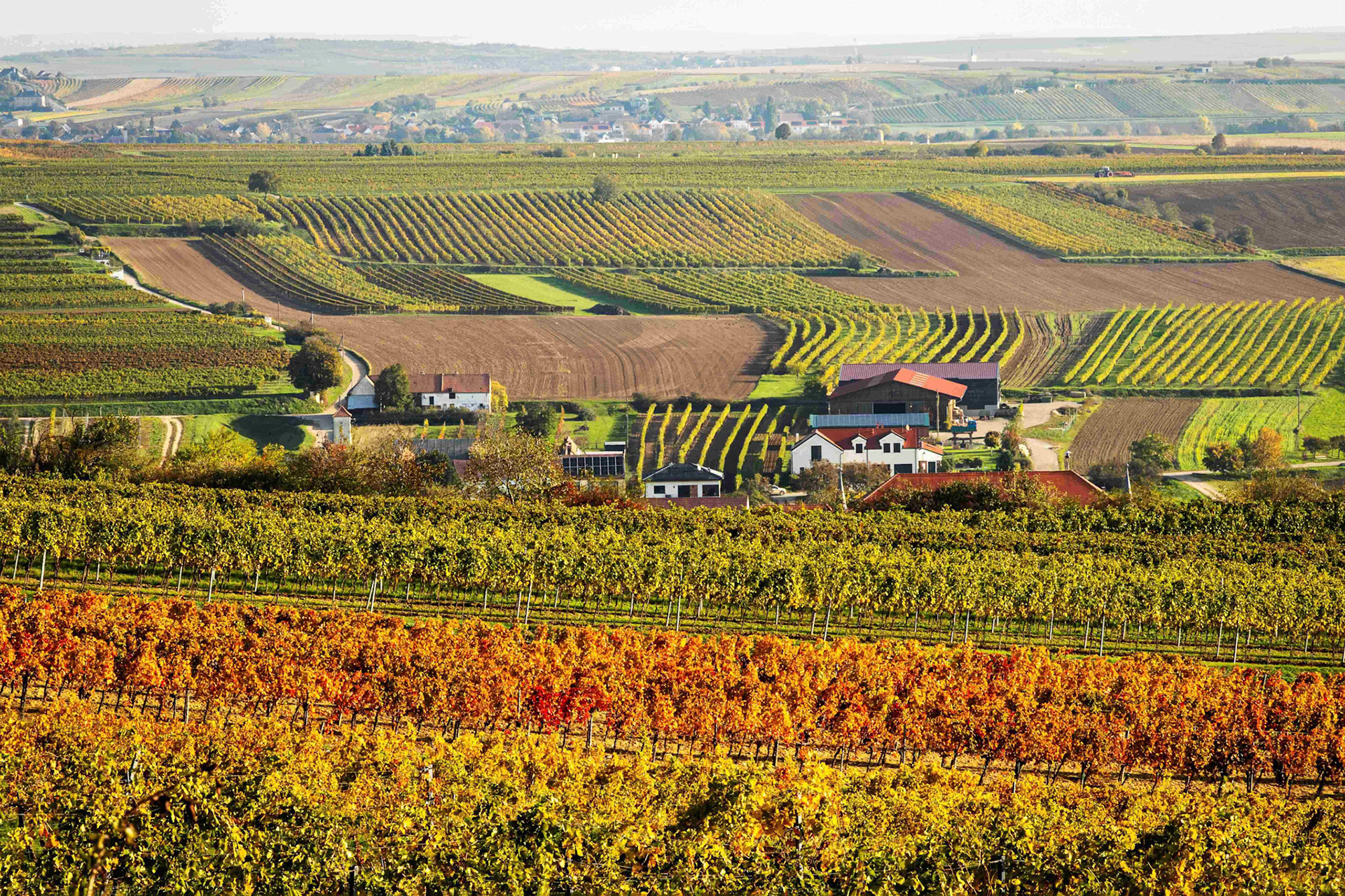 Retz von Windmühle aus