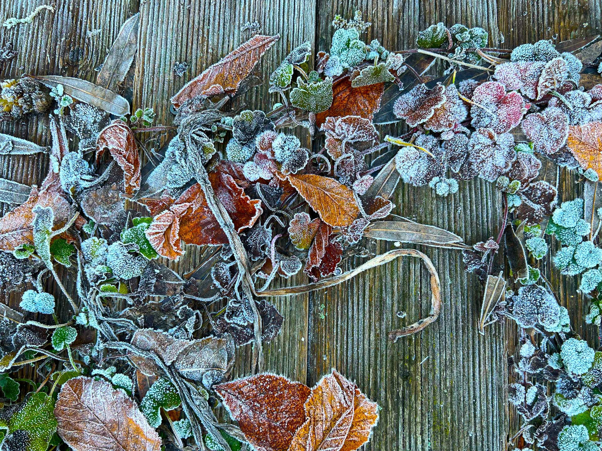 Hans Jürgen  Watzinger "Der Haken"