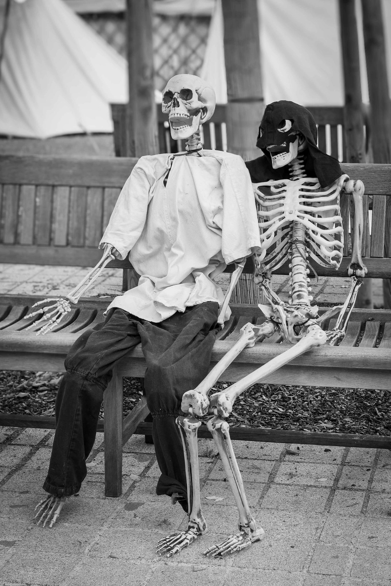 Franz Stiglbauer "zu lange gewartet"