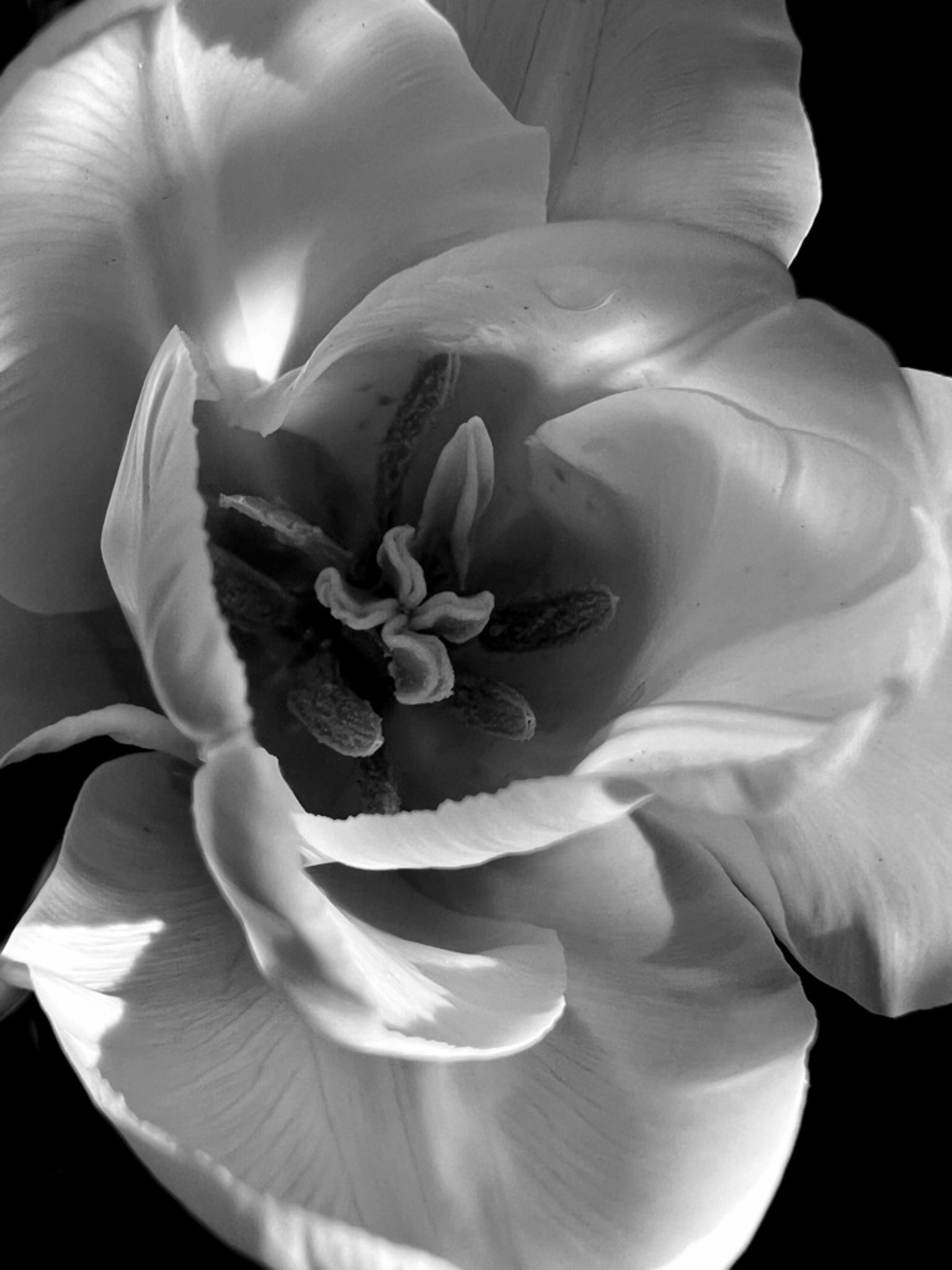 Hans Jürgen  Watzinger "LGS1"