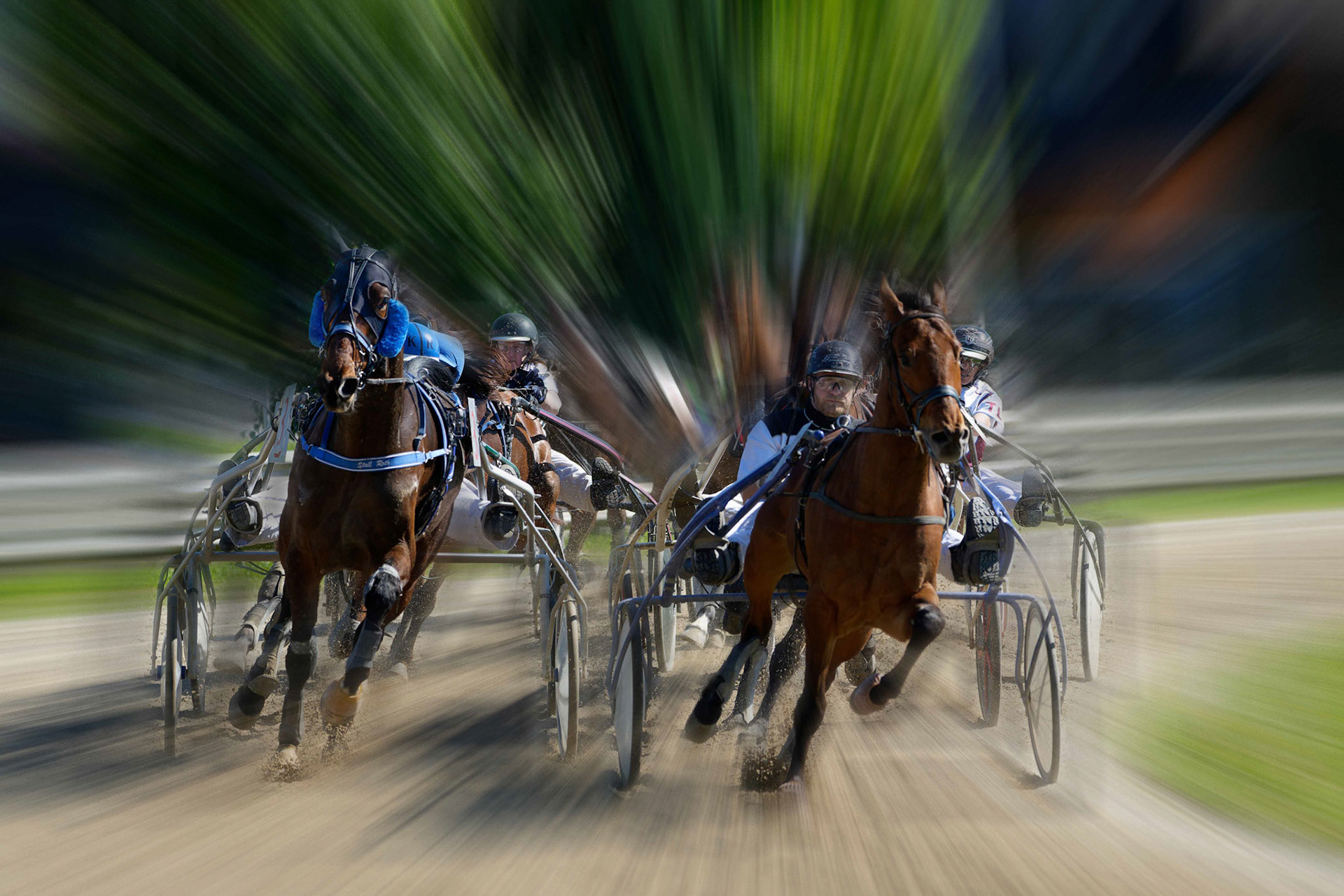 Trausinger Walter "Kopf an Kopf"