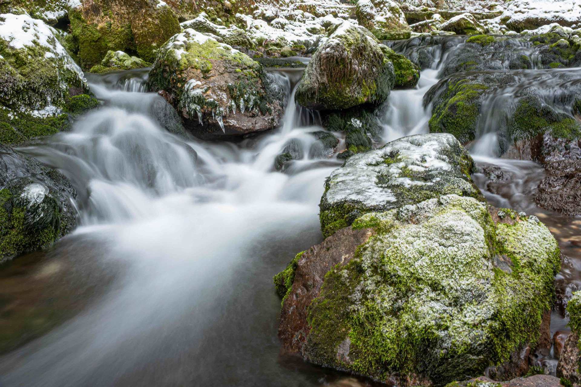 Franz Stiglbauer "Winterbach"