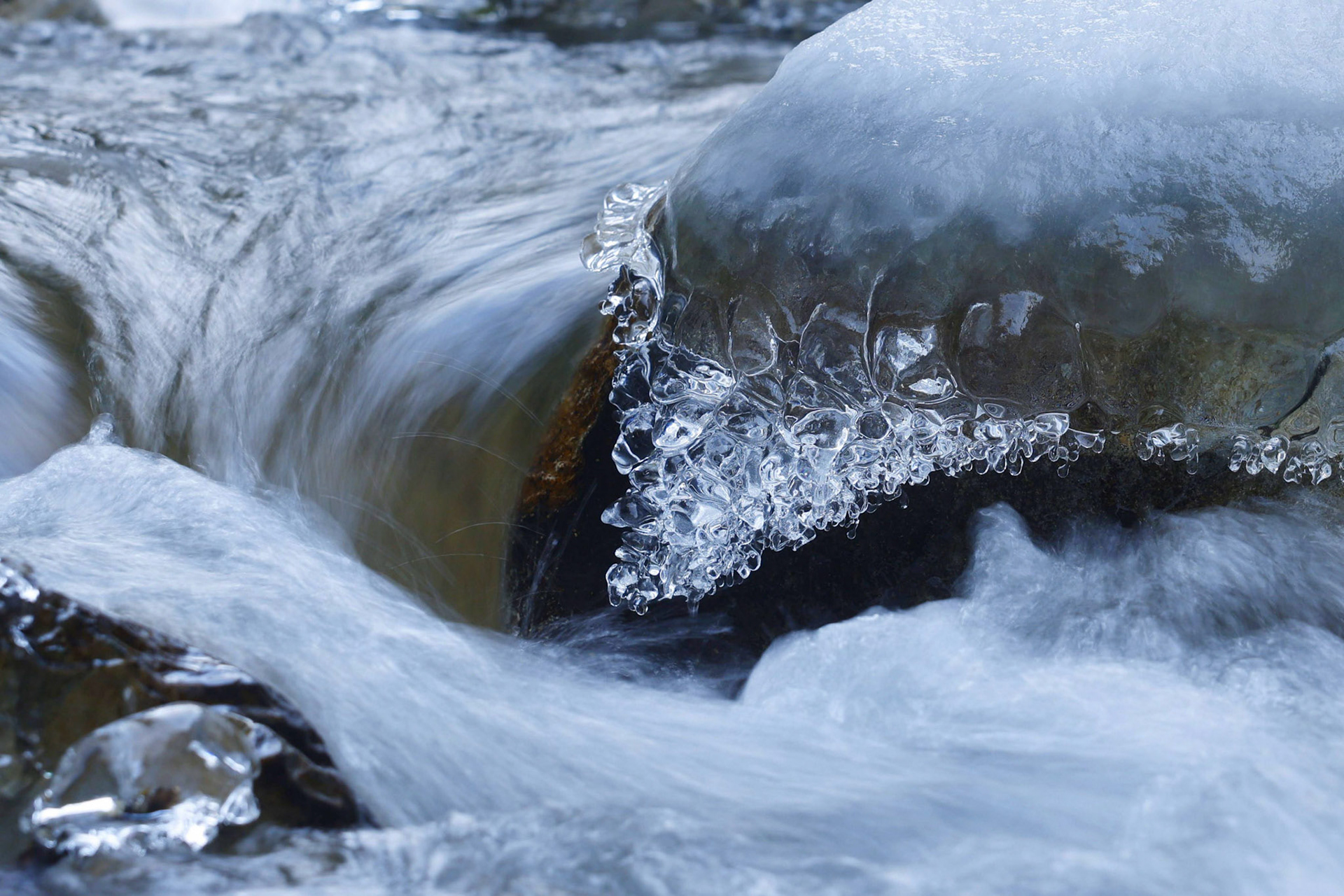 Franz Haunschmied "Eisbär"