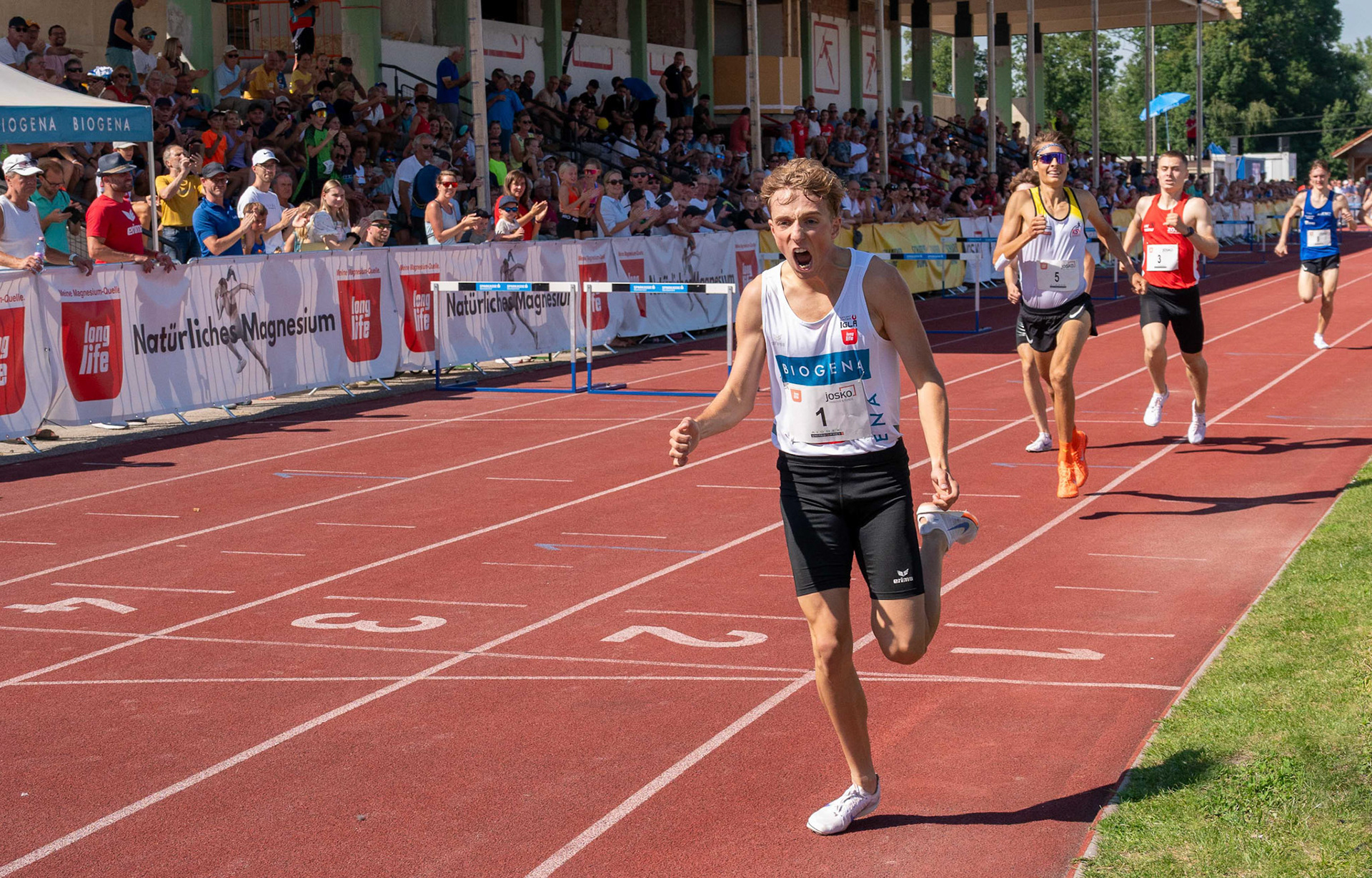 Franz Stiglbauer "Sieg"