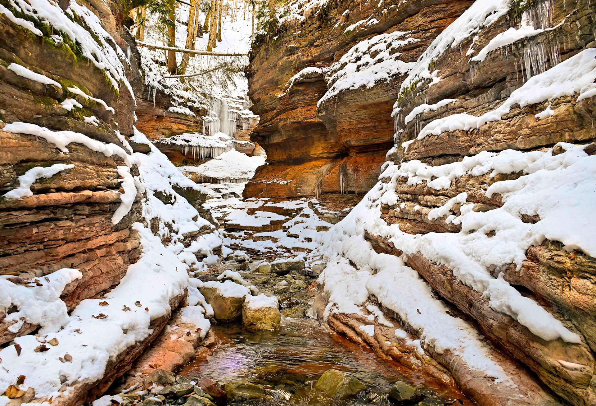 Gerhard Schneglberger "Tauglklamm"