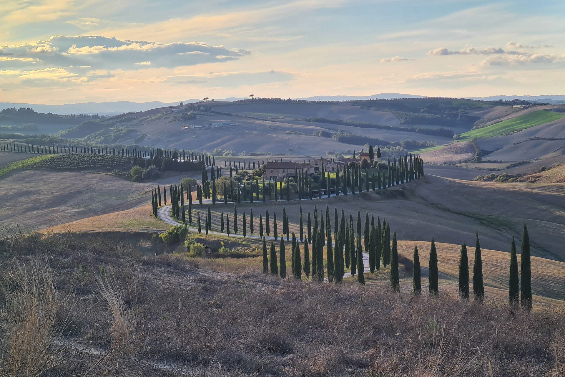 Franz Hebenstreit "Allee"