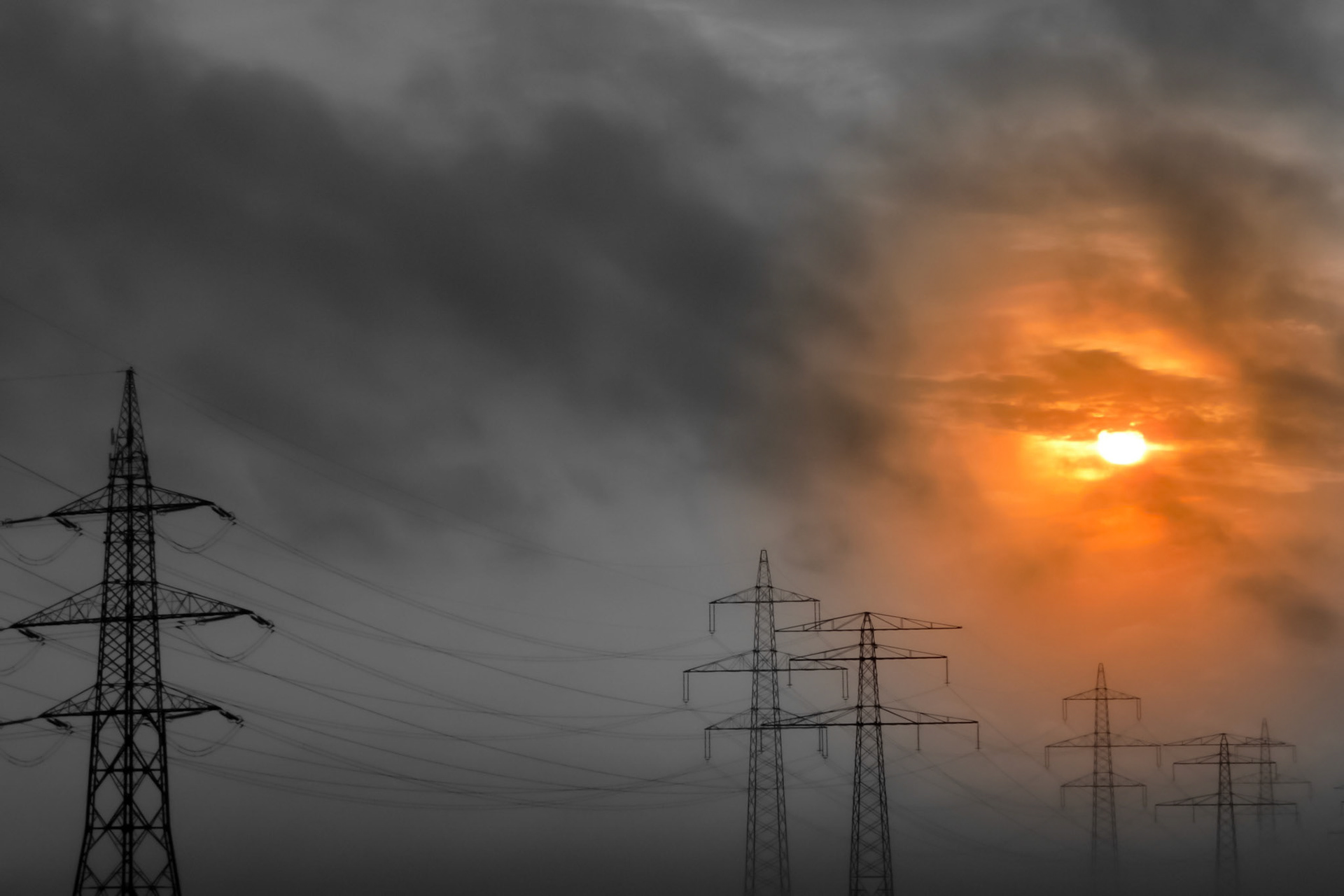 Franz Hebenstreit "Der Sonne entgegen"