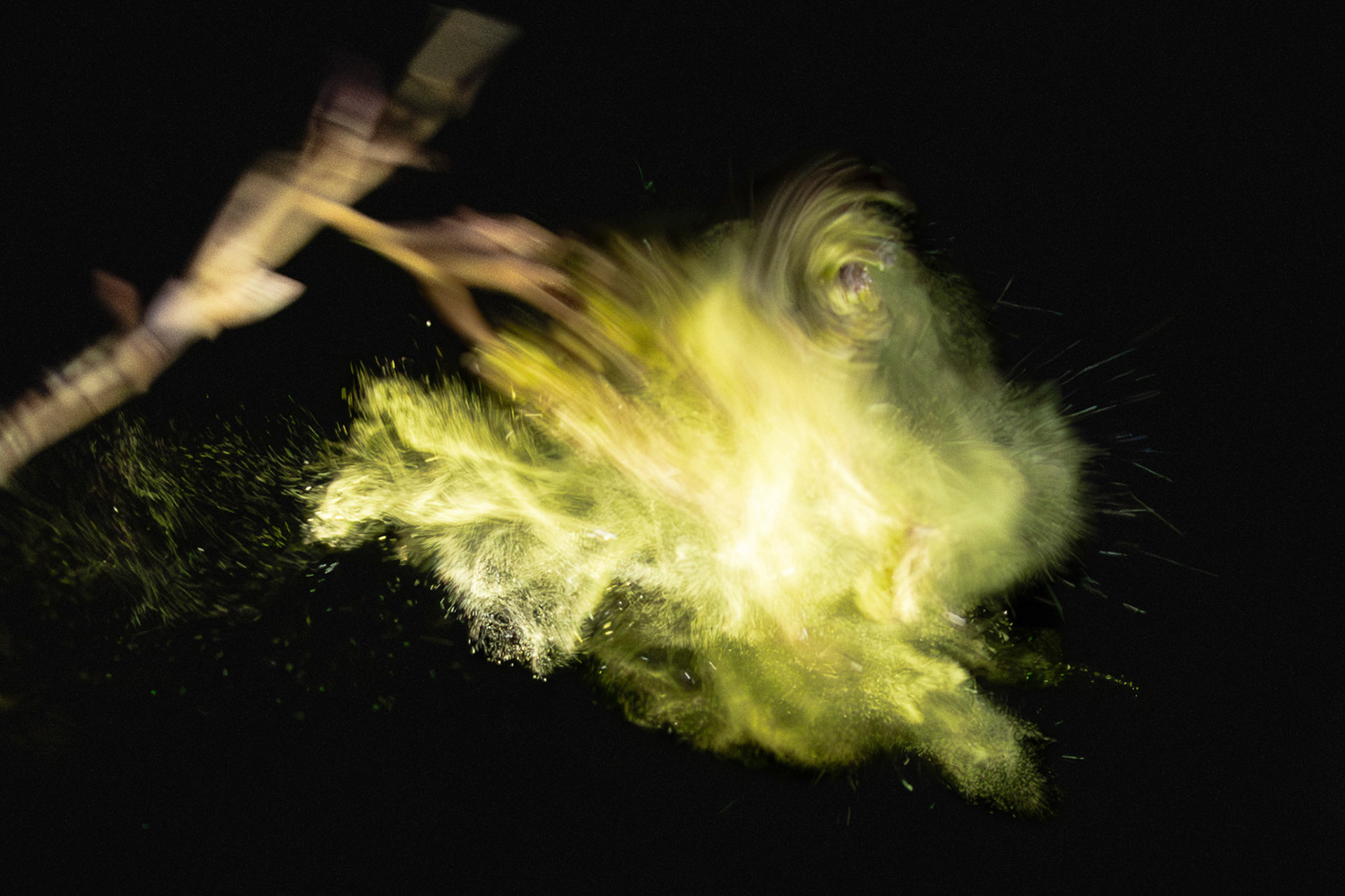 Franz Haunschmied "Erlenblütenwirbel"