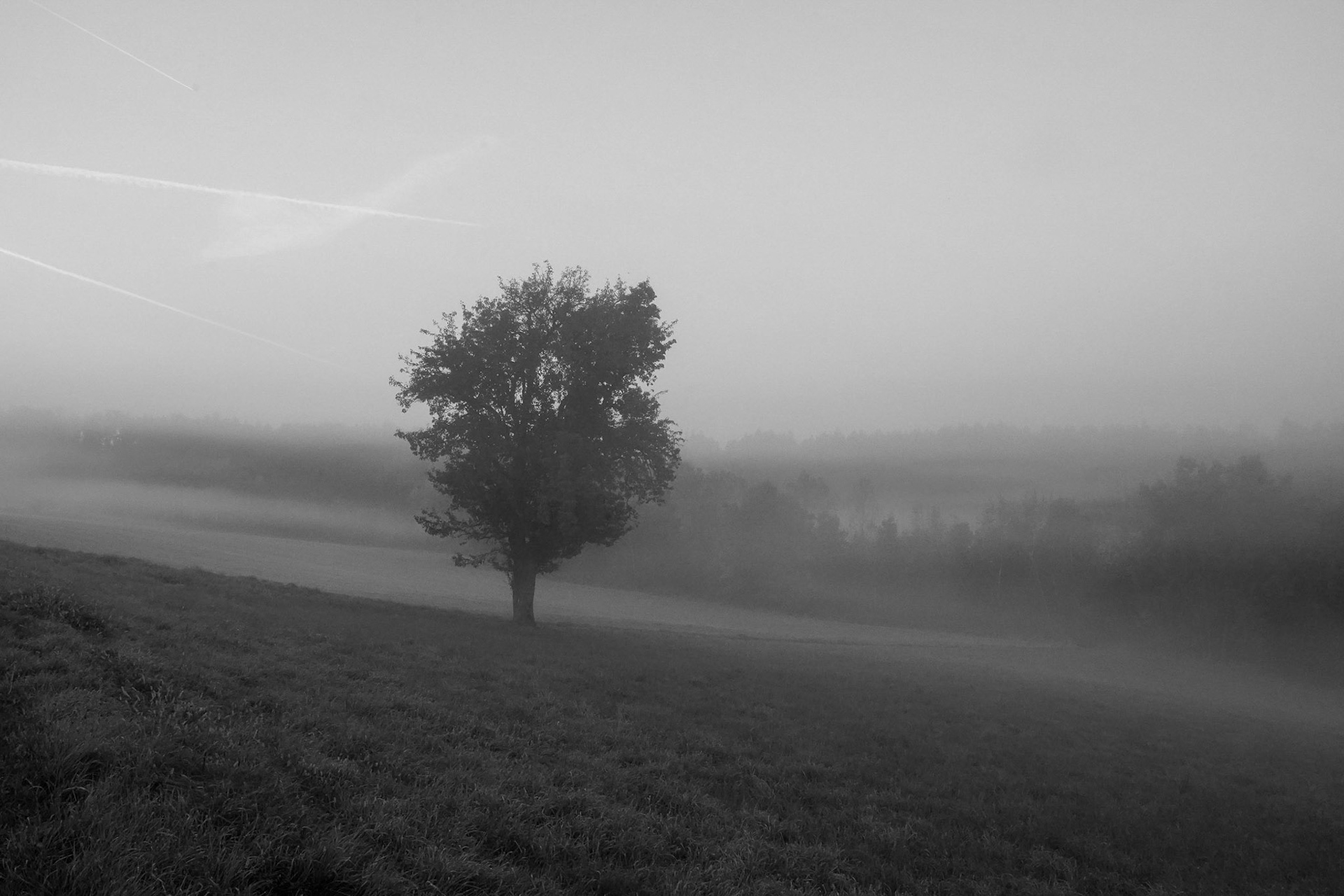 Markus Trausinger "es herbstlt"