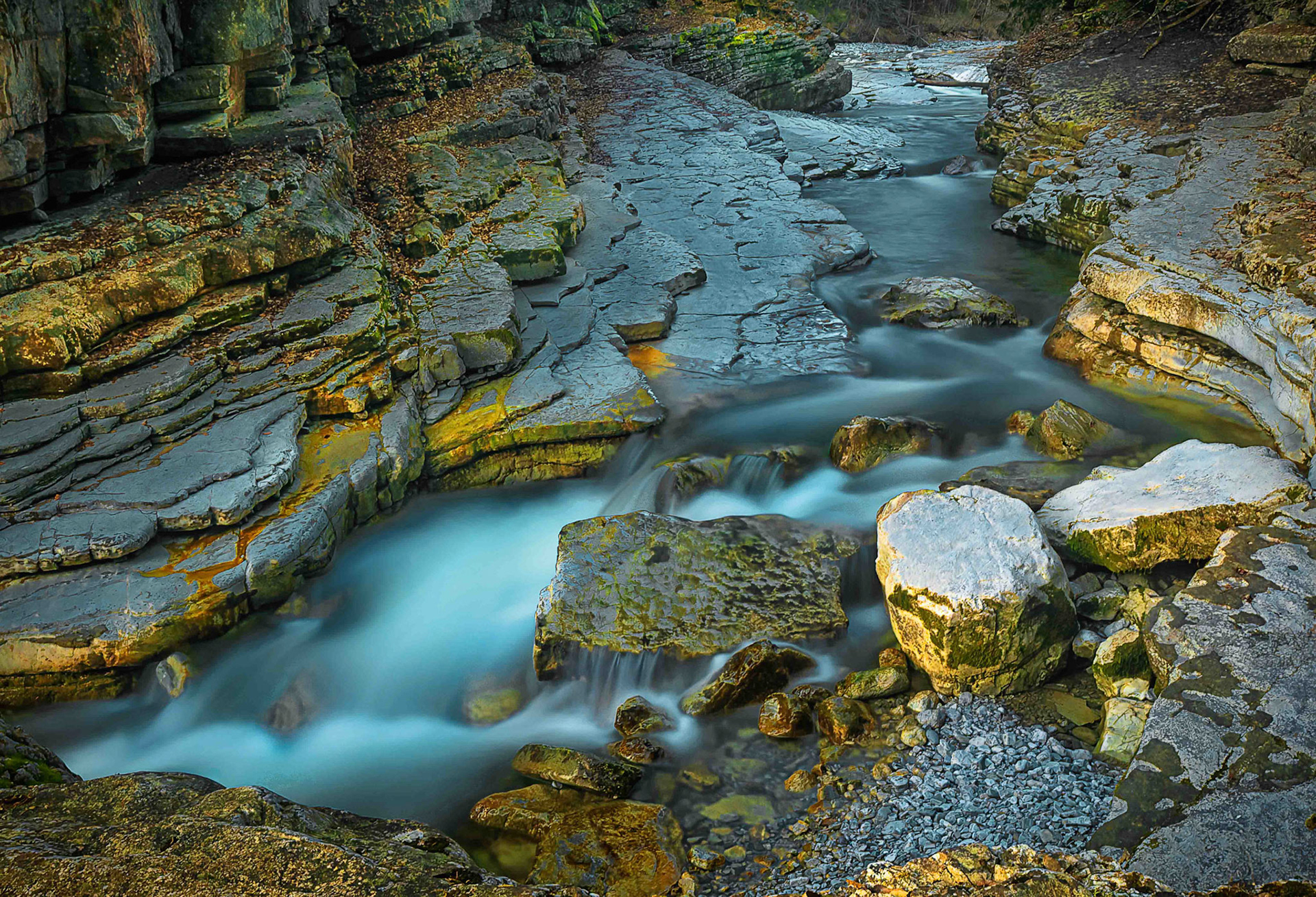 Gerhard Schneglberger "Tauglgries"