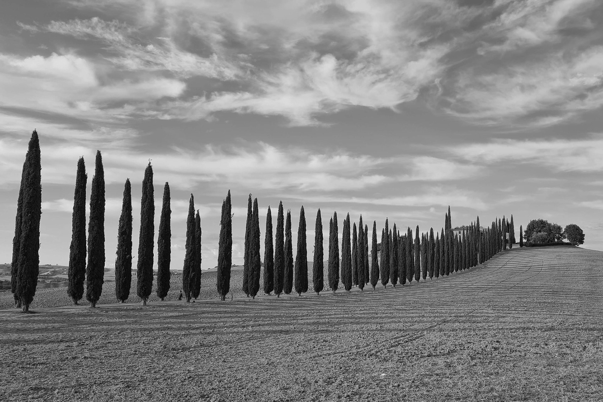 1. Franz Hebenstreit "zum Horizont"