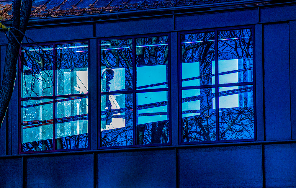 Tree People Refection Four