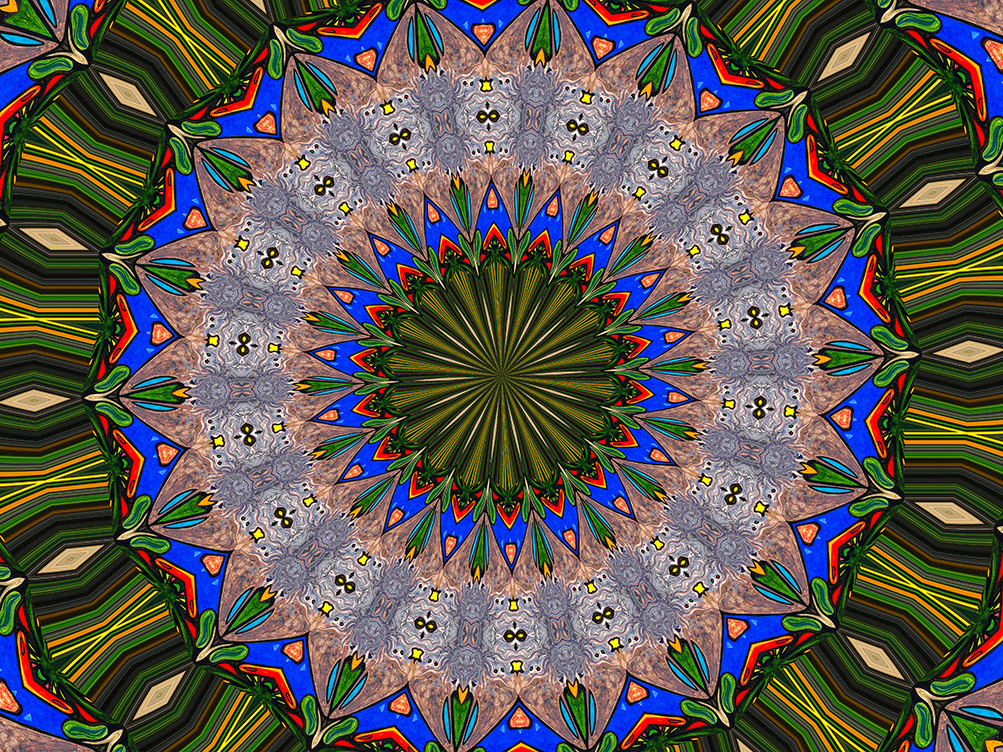 74