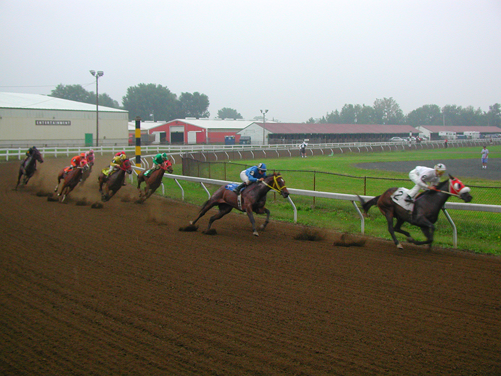 Backstretch
