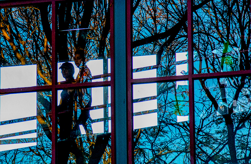 Tree People Refection Three Light