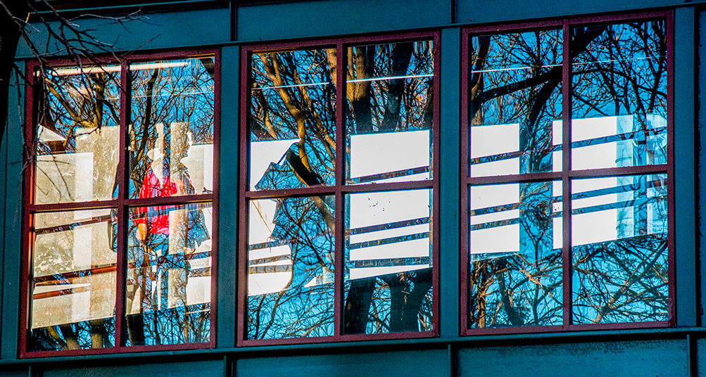 Tree People Refection Five