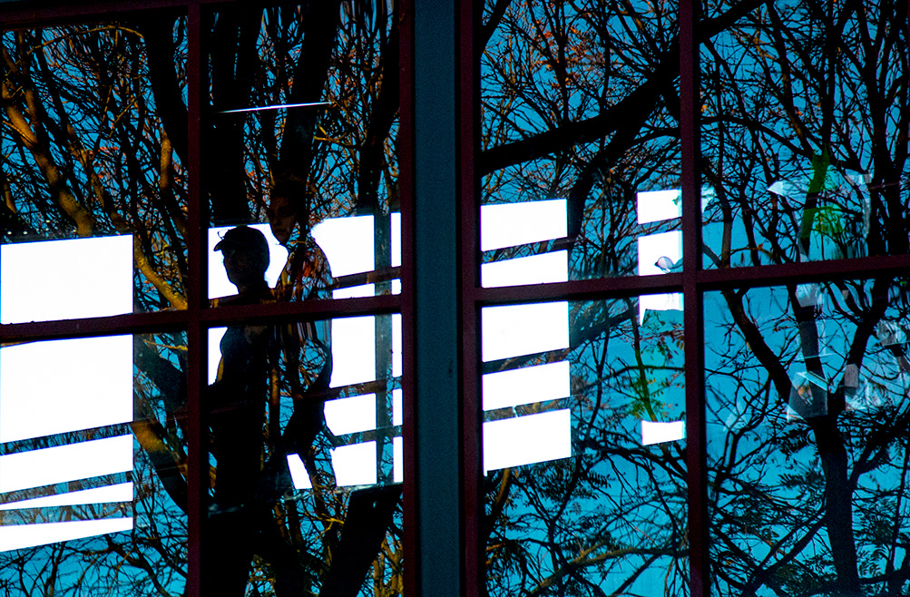 Tree People Refection Three Dark