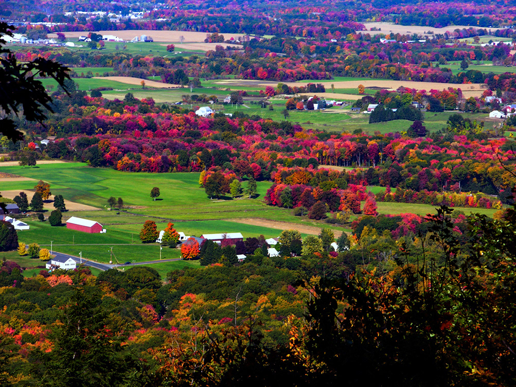 From The Summit House