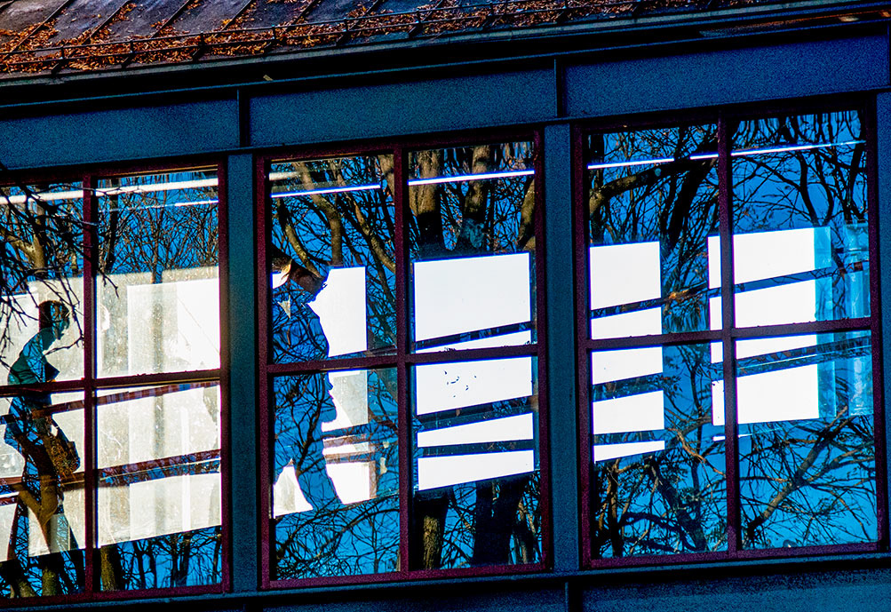Tree People Refection One