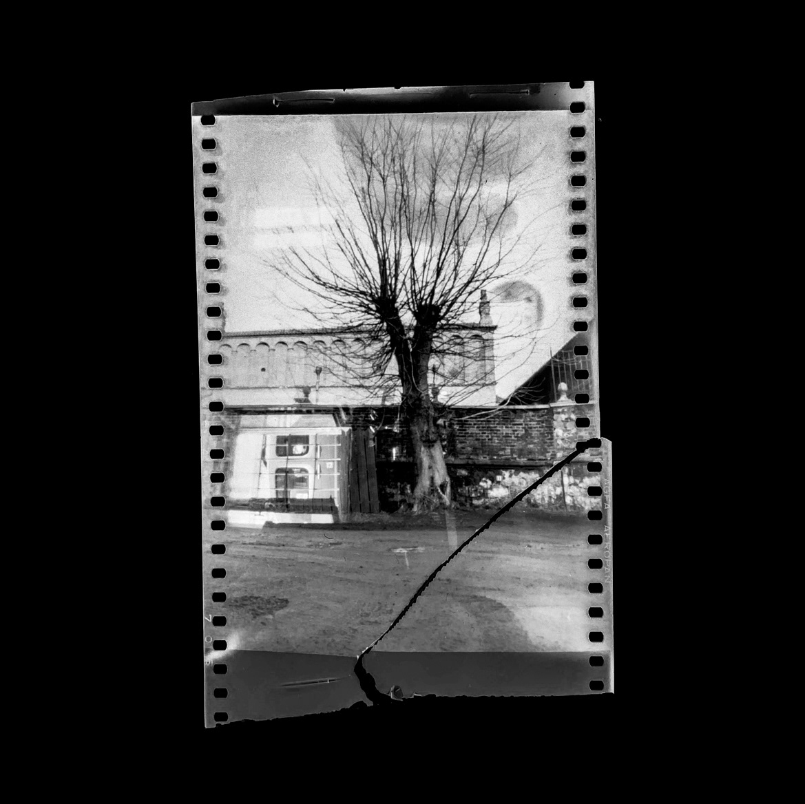 odbitka stykowa, papier barytowy Ilford, 24 x 30 cm