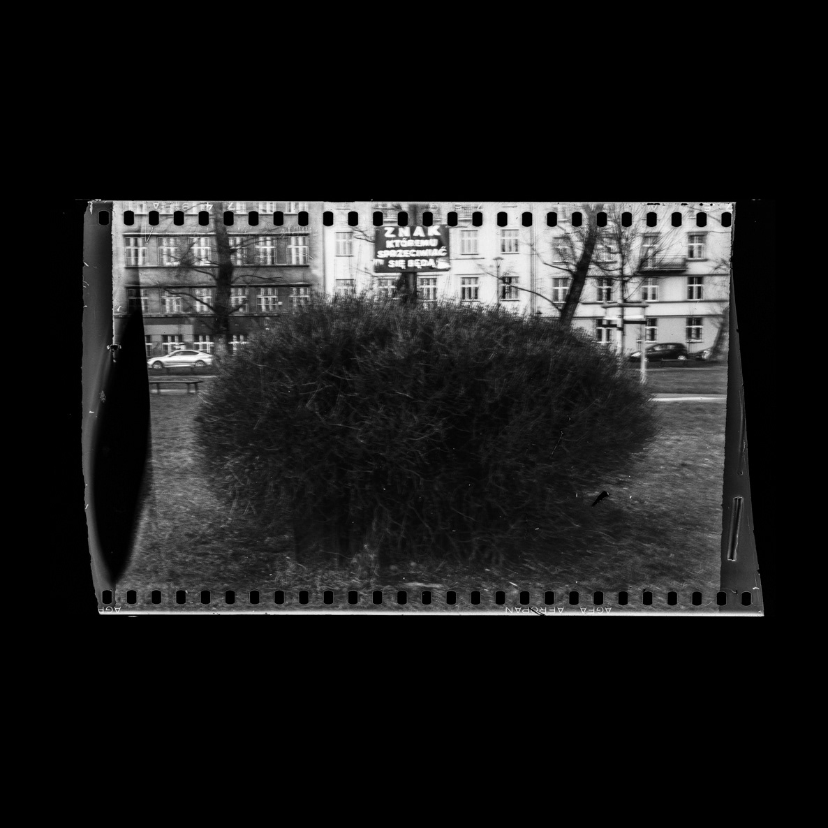 "Znak, któremu sprzeciwiać się będą", Odbitka stykowa, papier barytowy Ilford, 24 x 30 cm