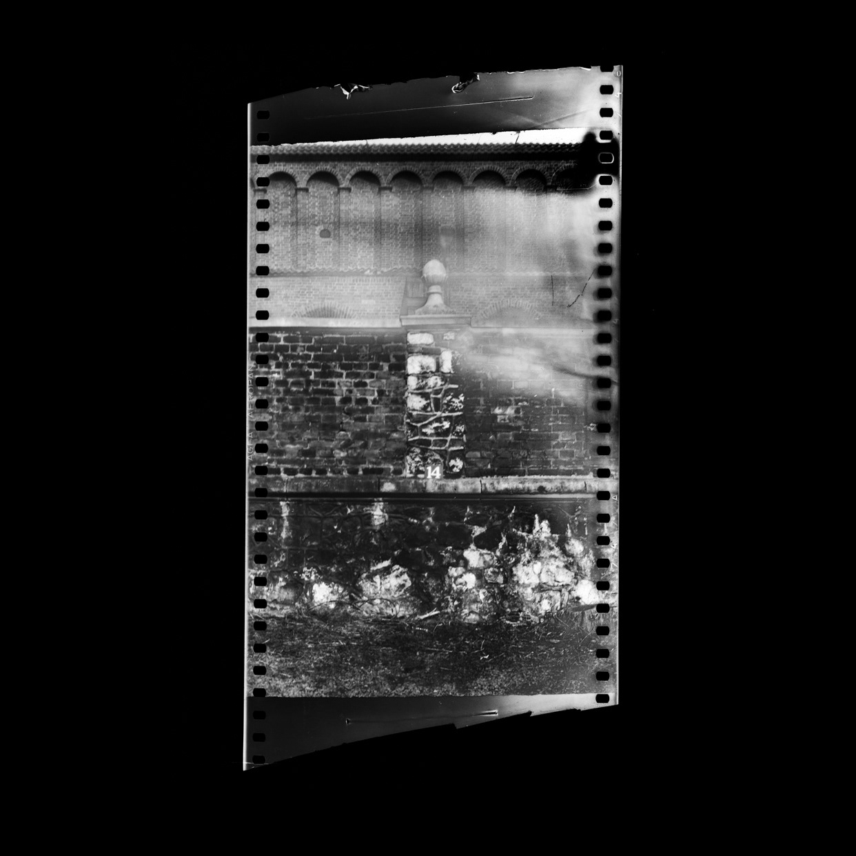 "Dajwór", Odbitka stykowa, papier barytowy Ilford, 24 x 30 cm