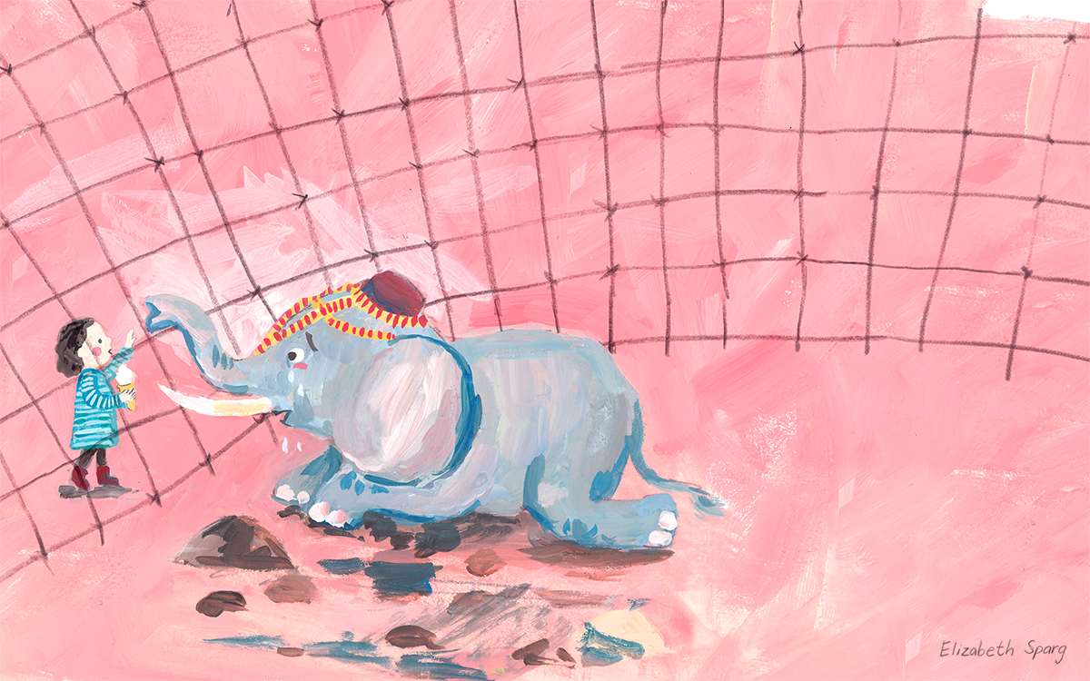 Childrens book illustrator of animals and wildlife - elephant