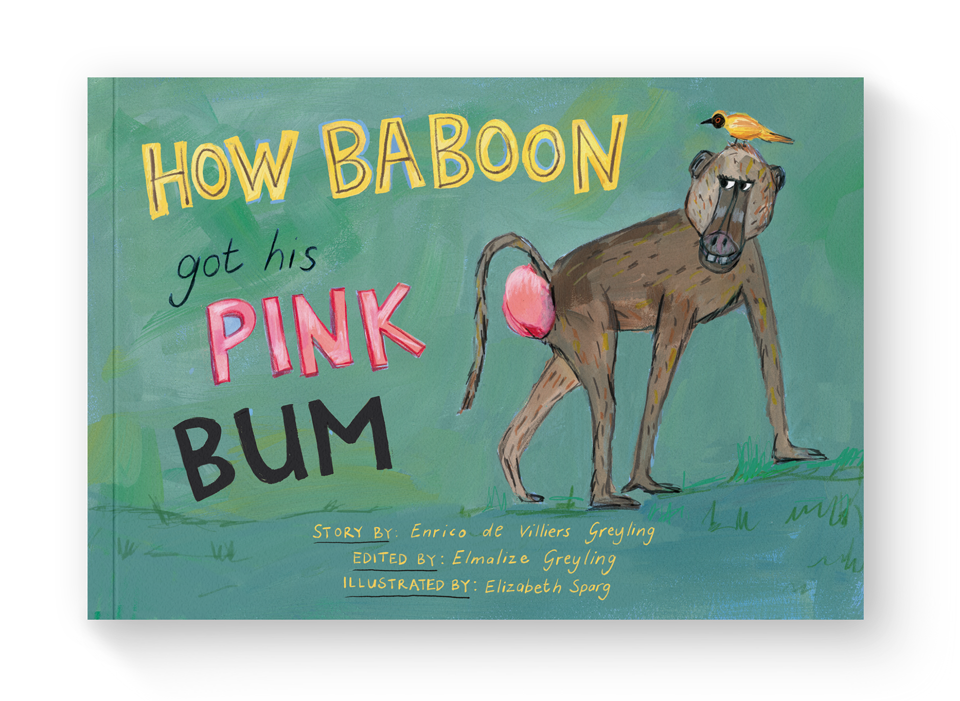 Childrens picture book illustrator animals and wildlife