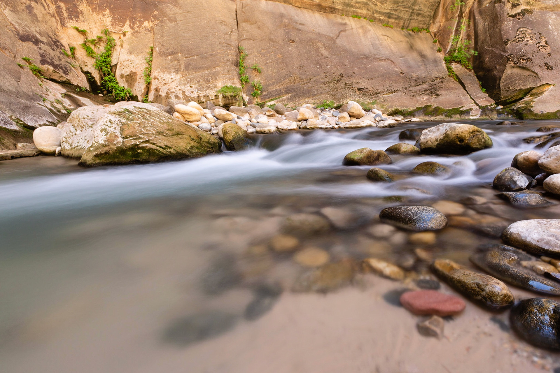 Narrows in Motion I - Zion National Park, Utah