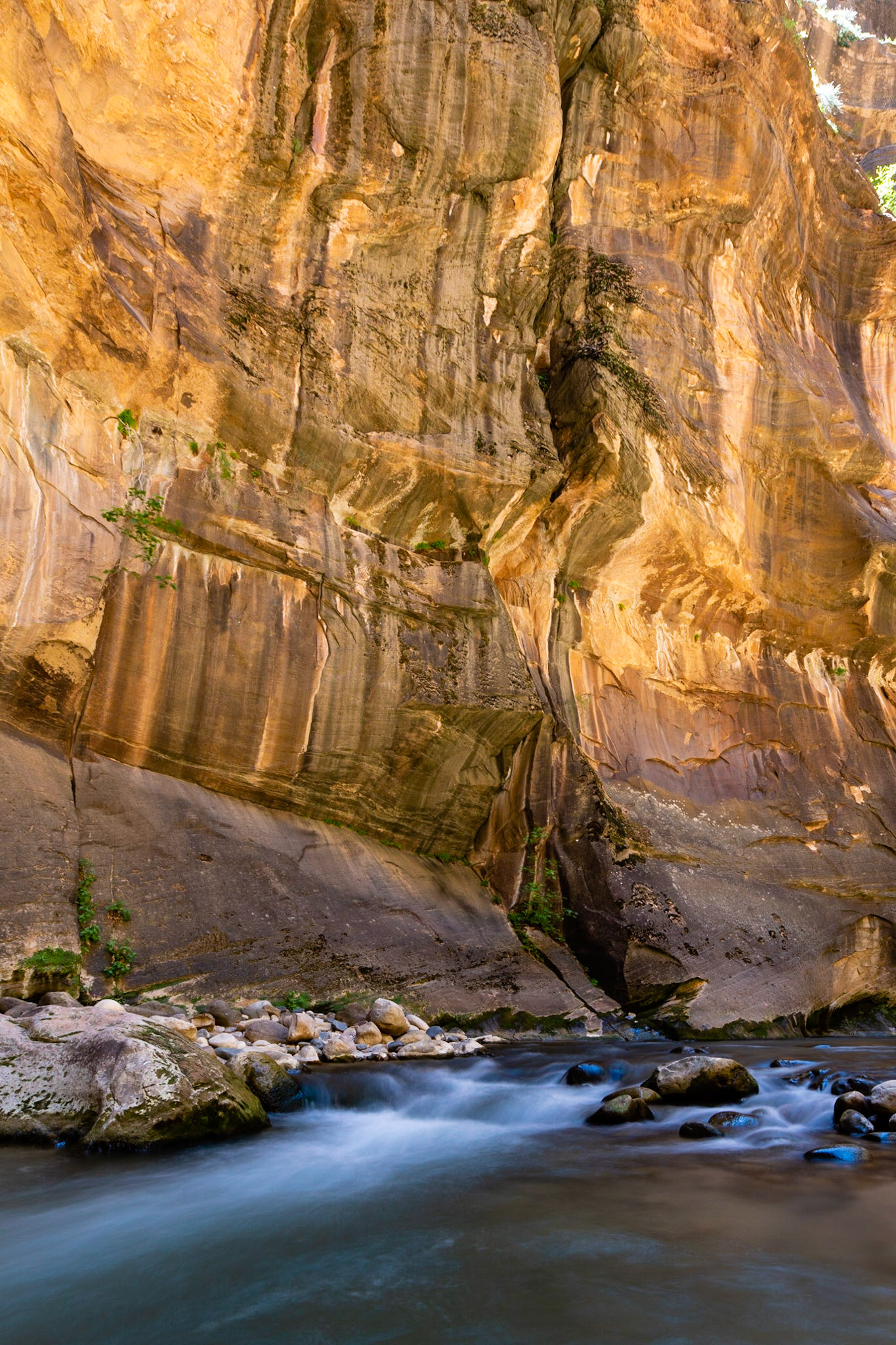 The Narrows III - Zion National Park, Utah