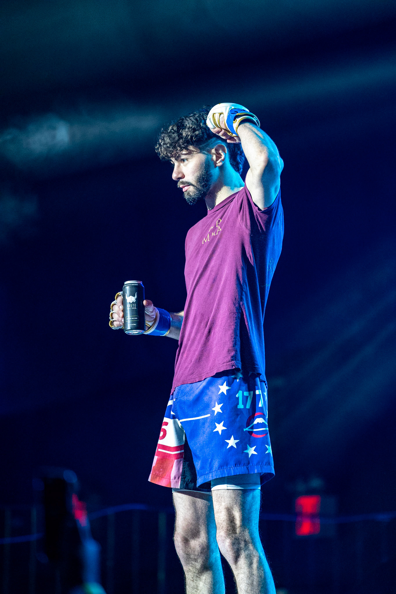 Flex Fight Series - MMA