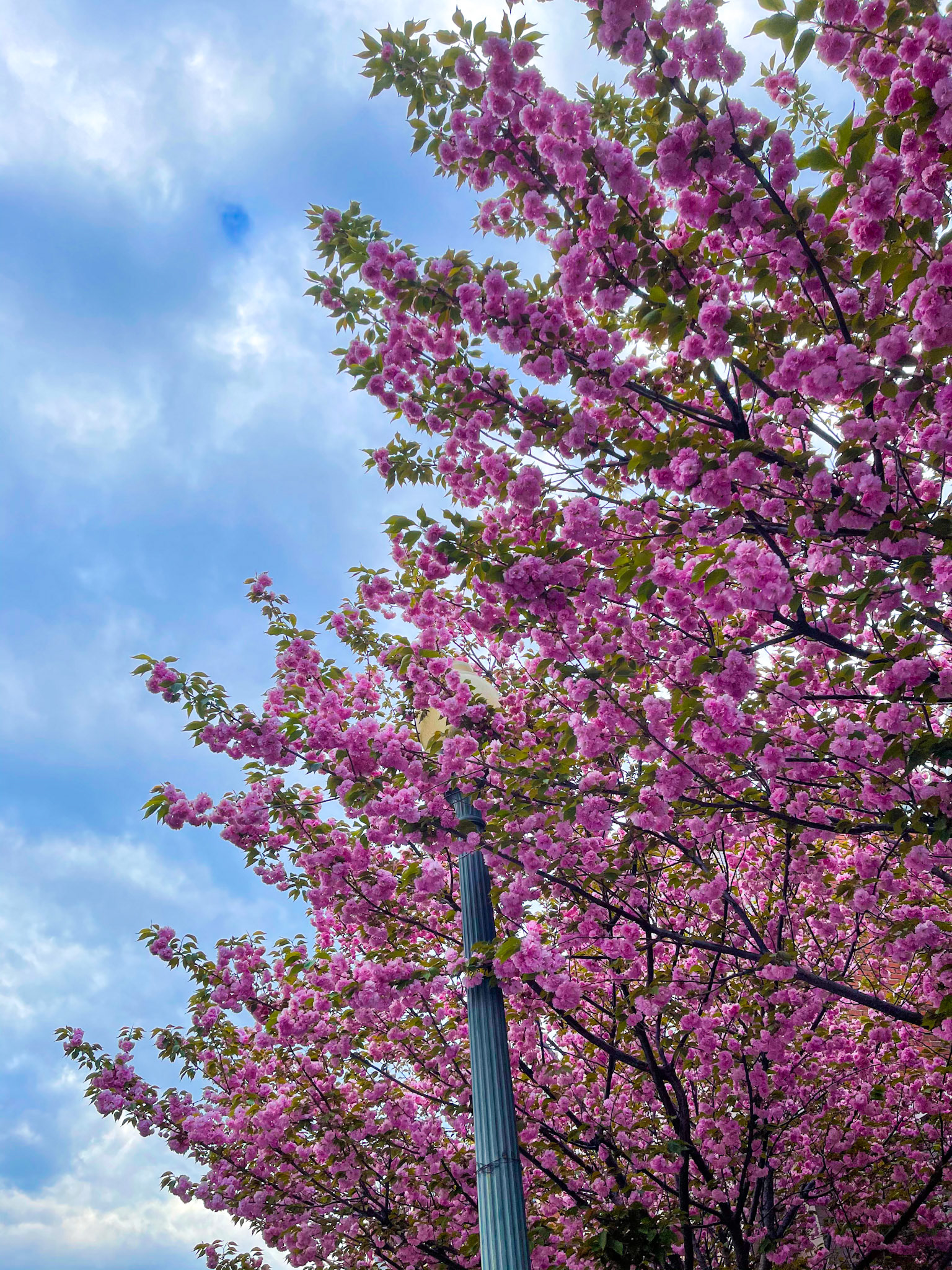 Nature Edit