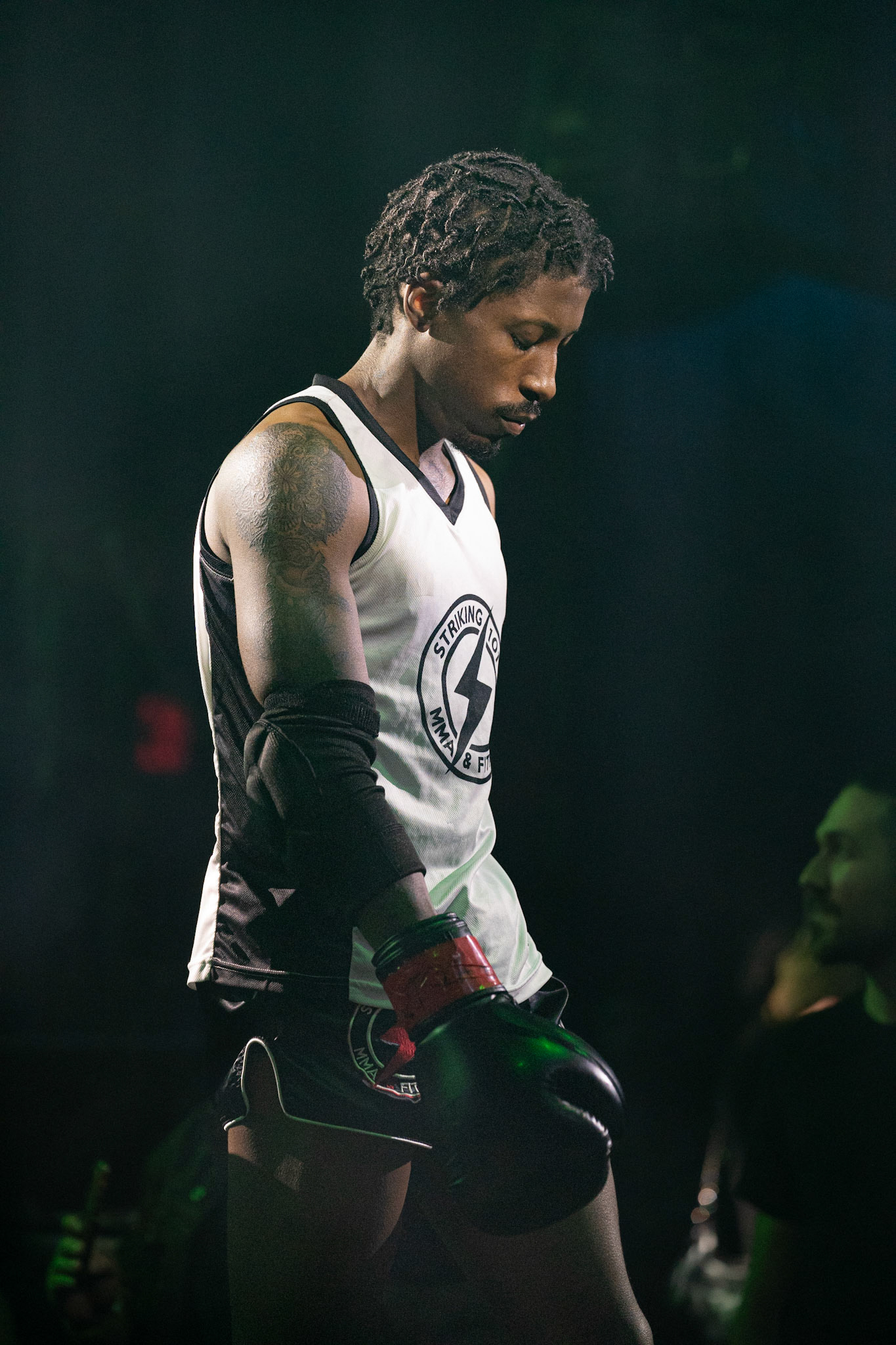 Flex Fight Series - MMA