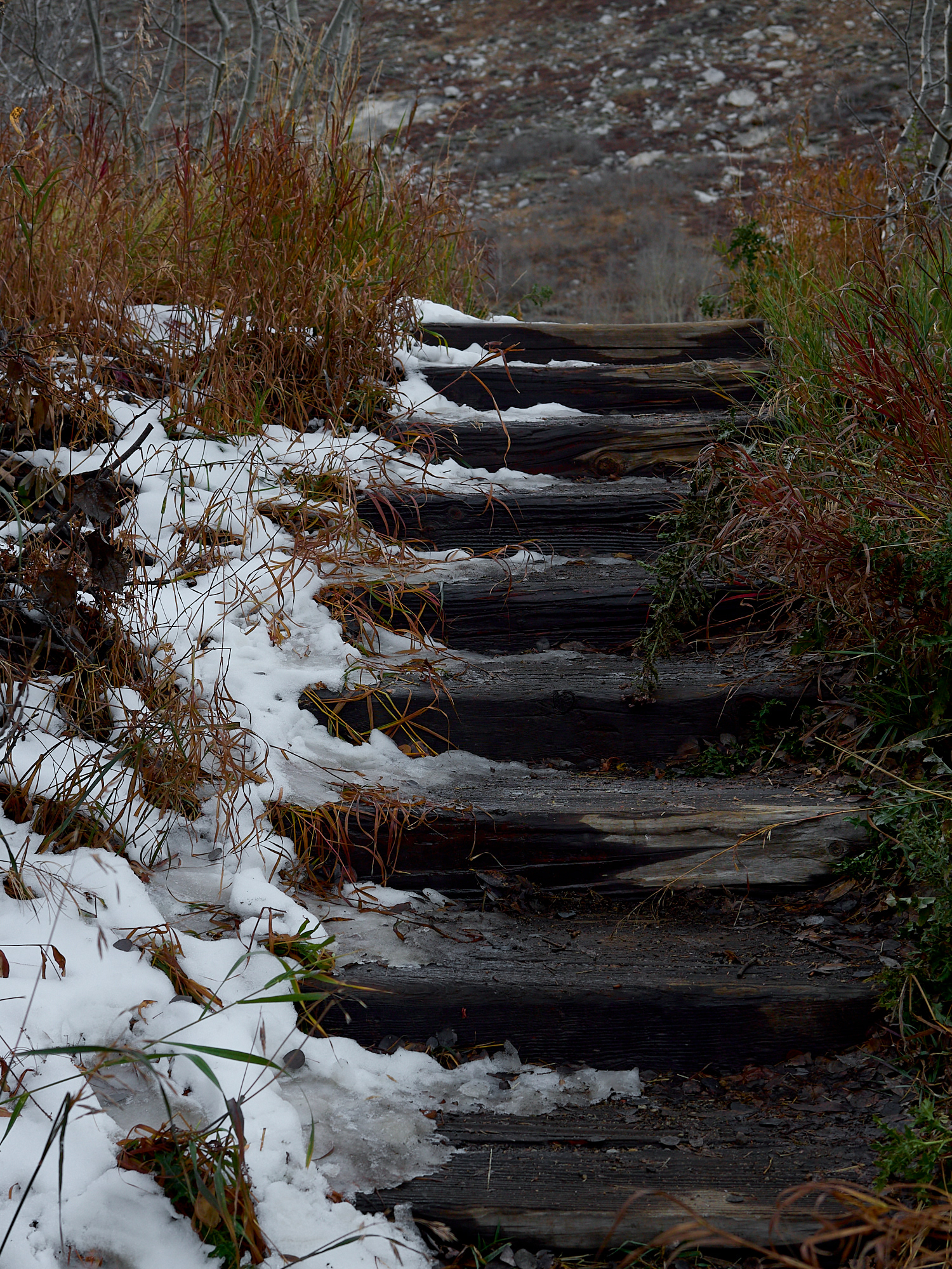 End of the road steps