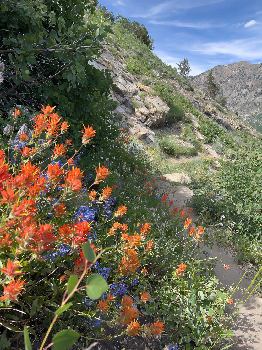 Island Lake Trail