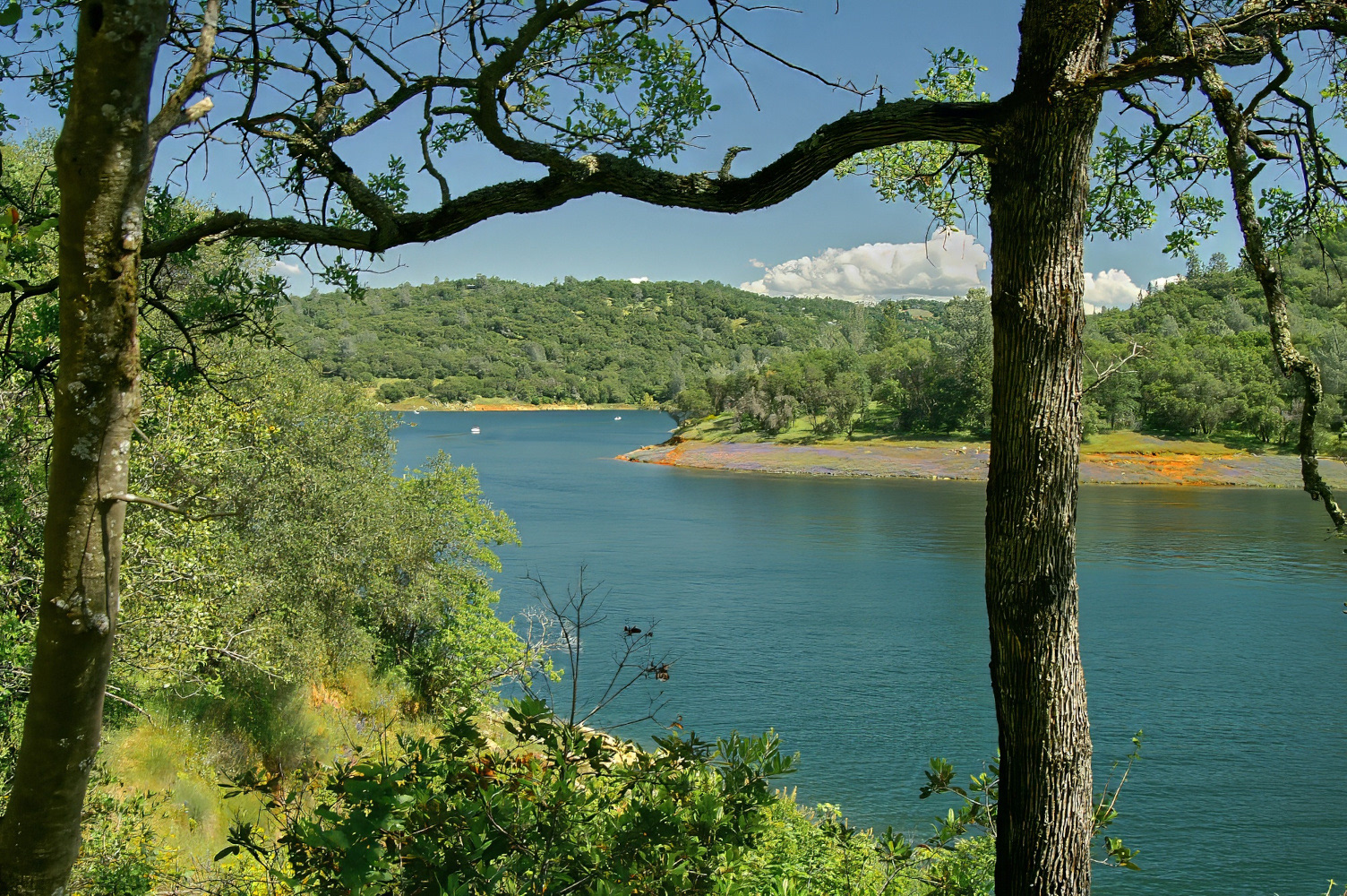 Avery's Pond Folsom Lake, CA