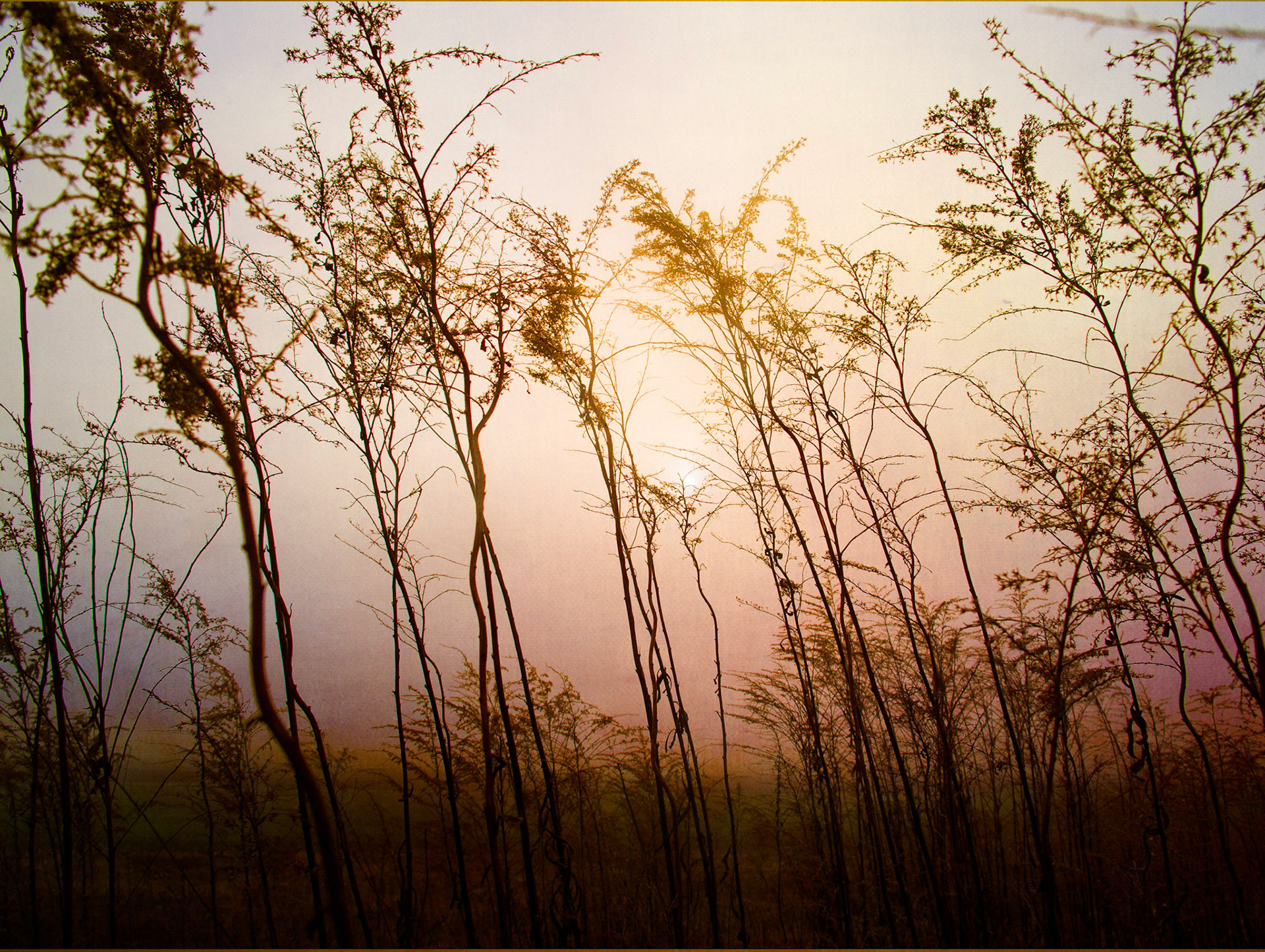 Flypaper Textues. Texture overlay for photography and artwork, Flypaper Tex Box 2