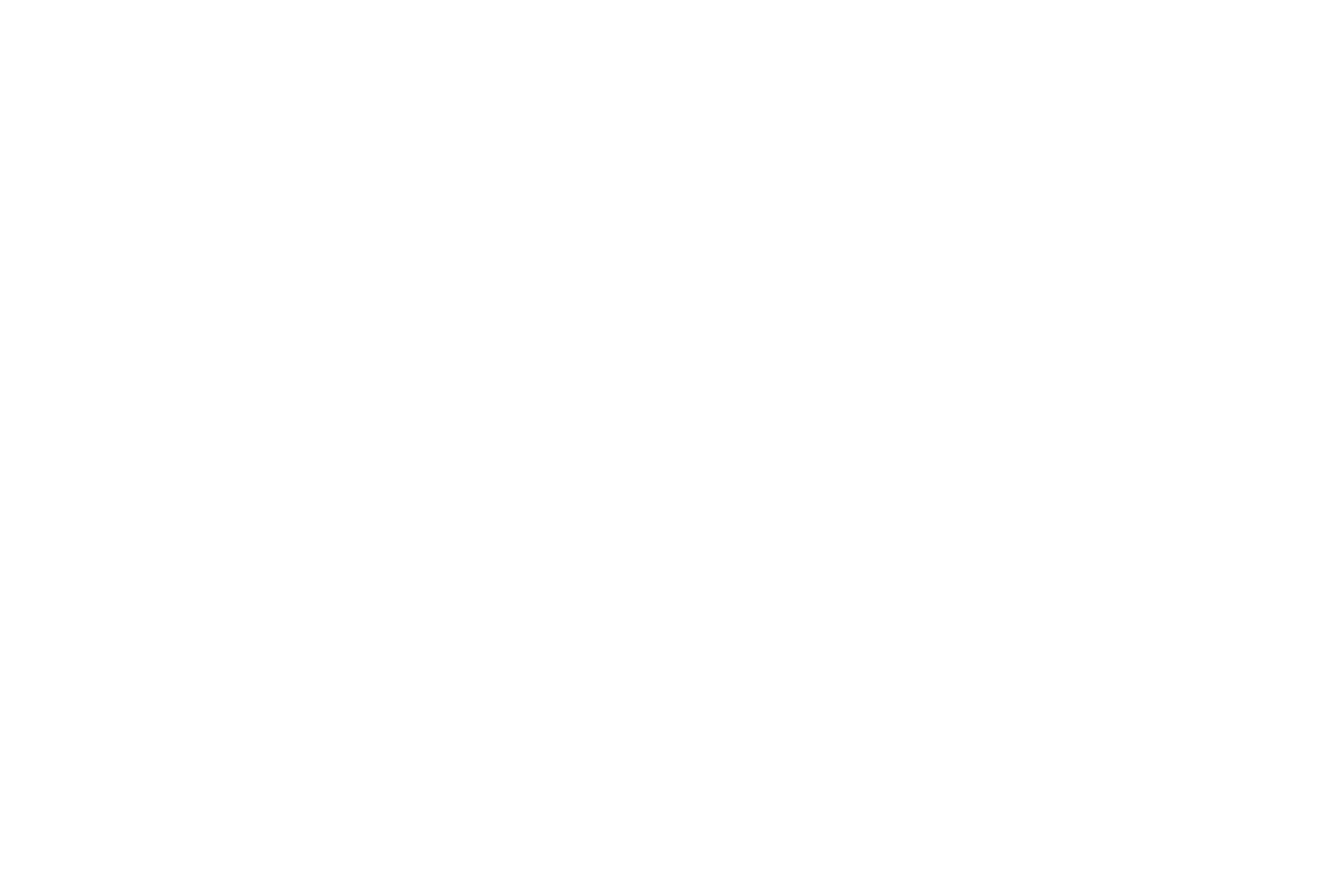 Joao Rico