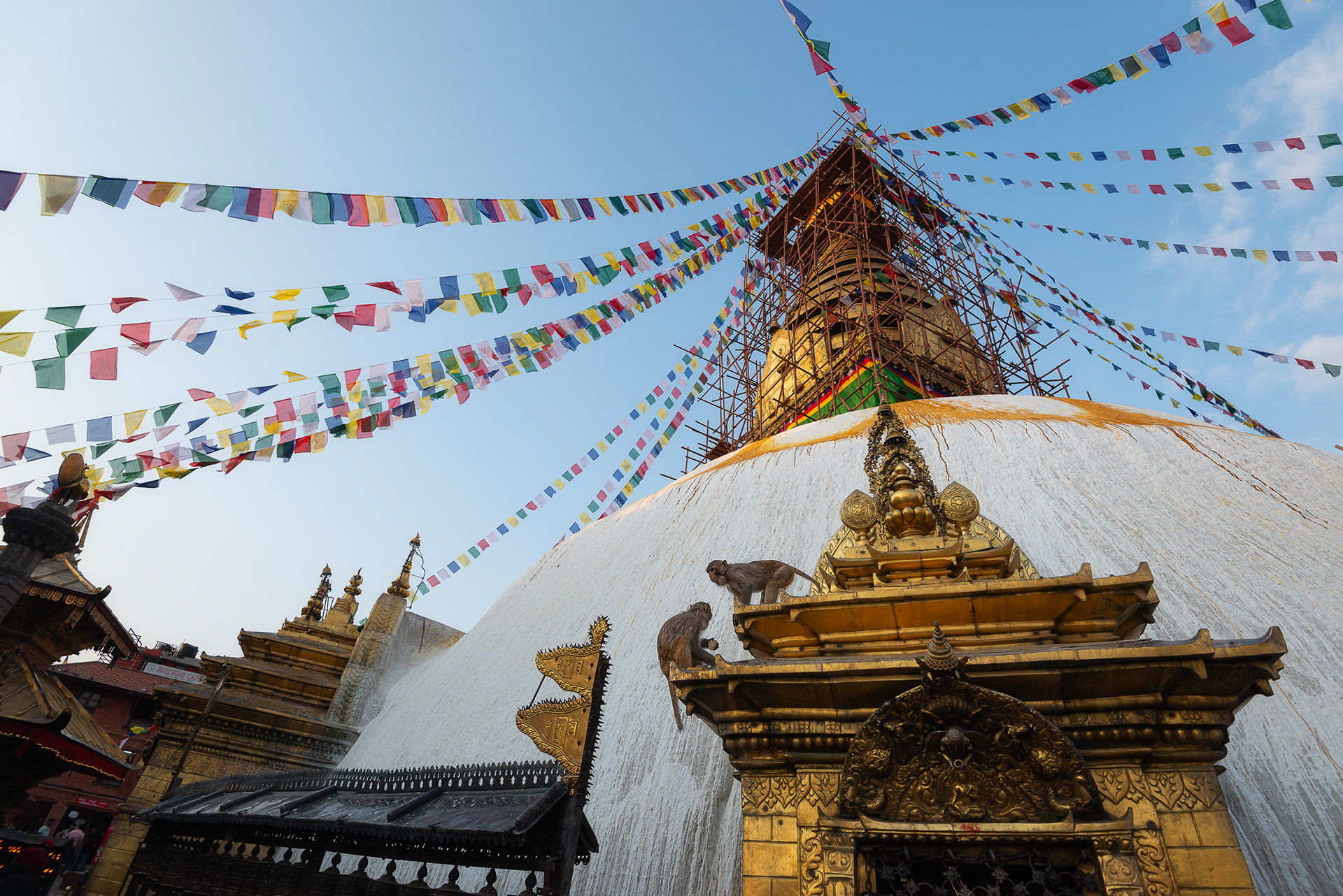 Swayambunath monkey temple