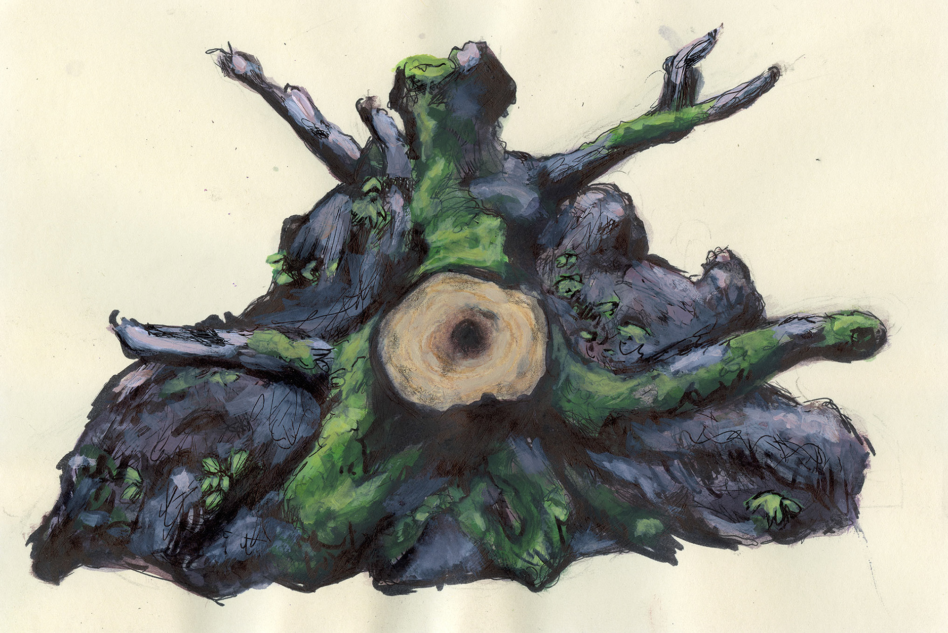 Nature Study I, 2024, pen and gouache