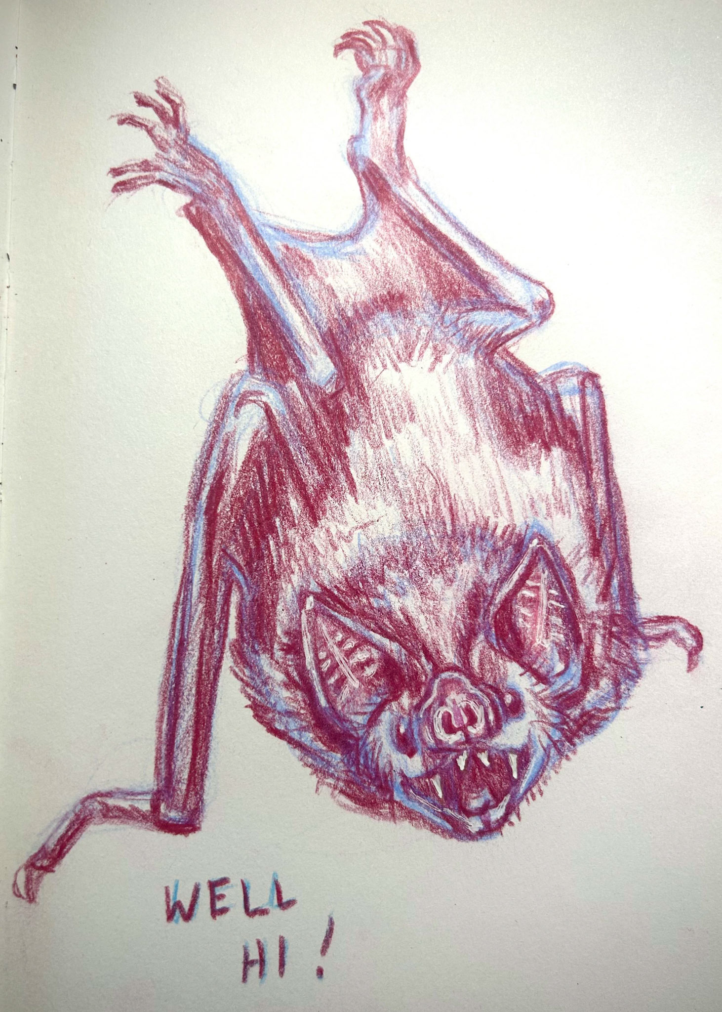Well, Hi!, 2024, colored pencil