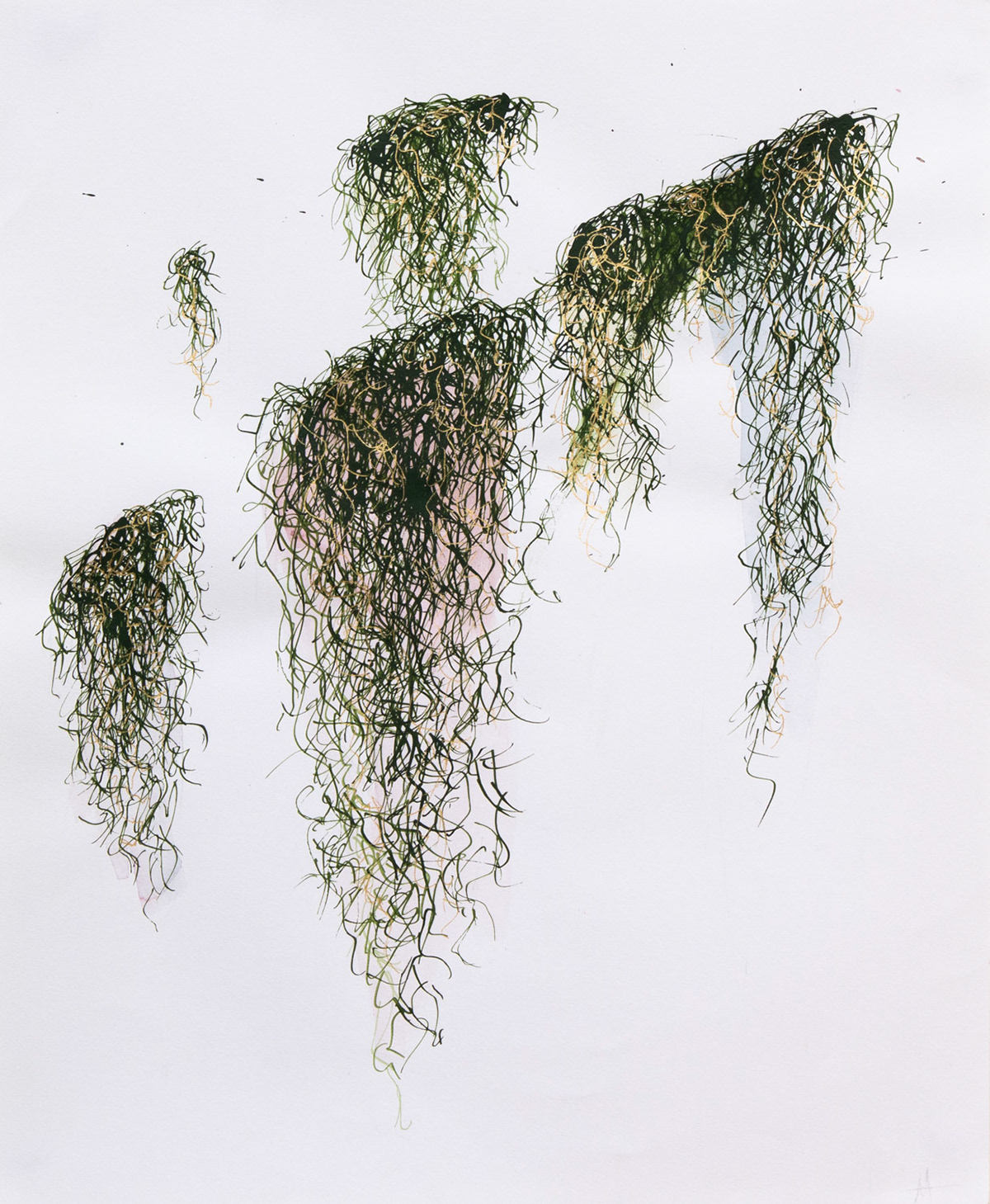 Moss, 2023, ink and watercolor on paper